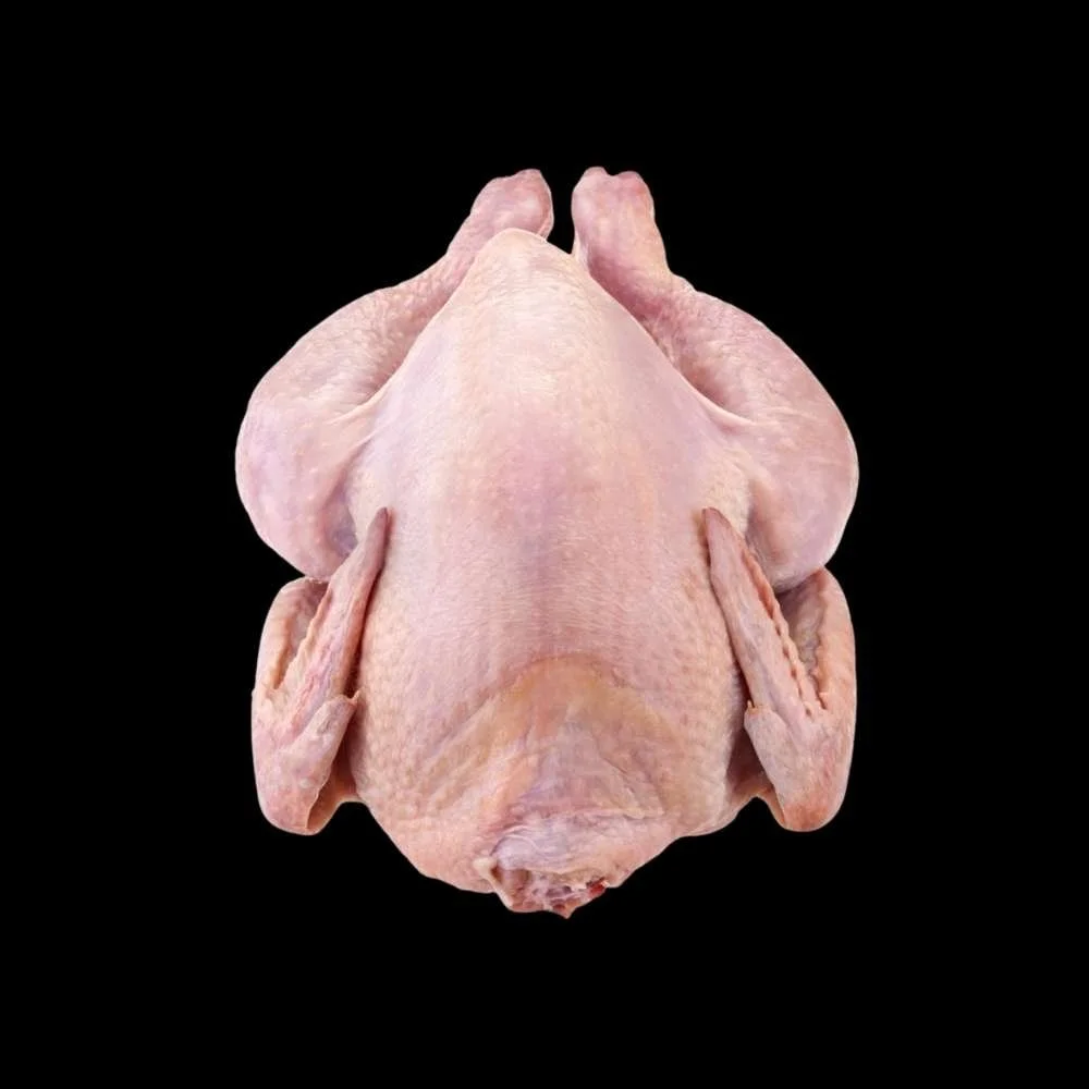 Gallina criolla pequeña