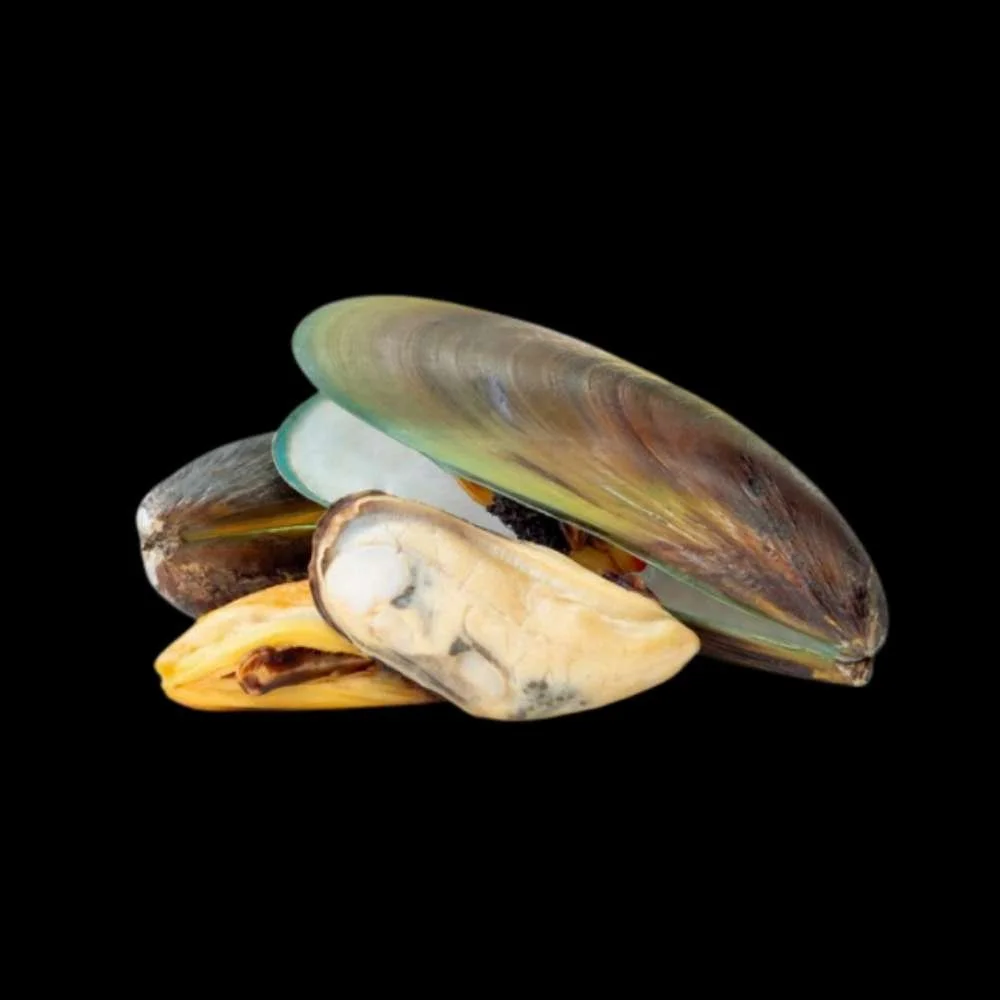 Mejillon Verde Jumbo