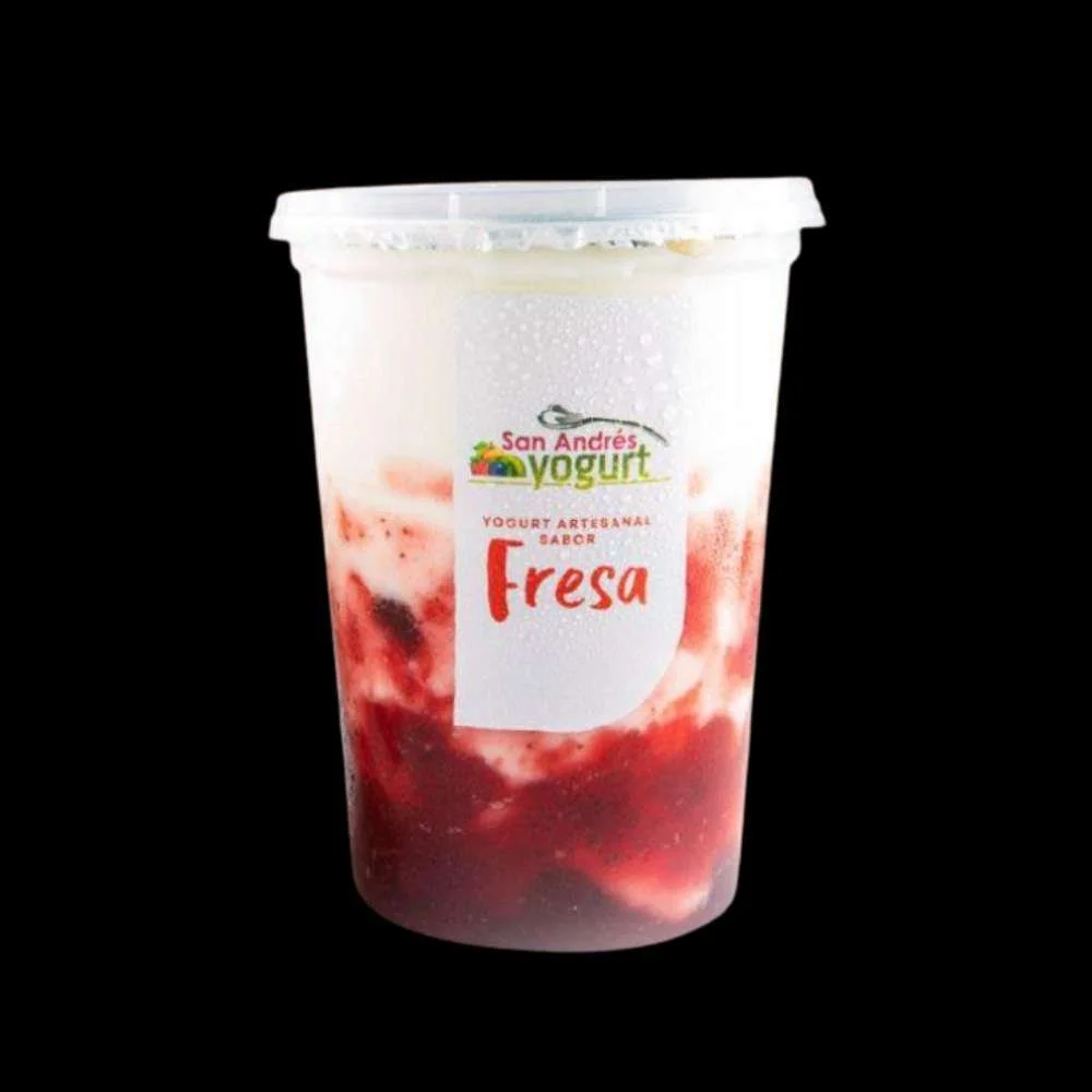 Yougurt Vaso Artesano