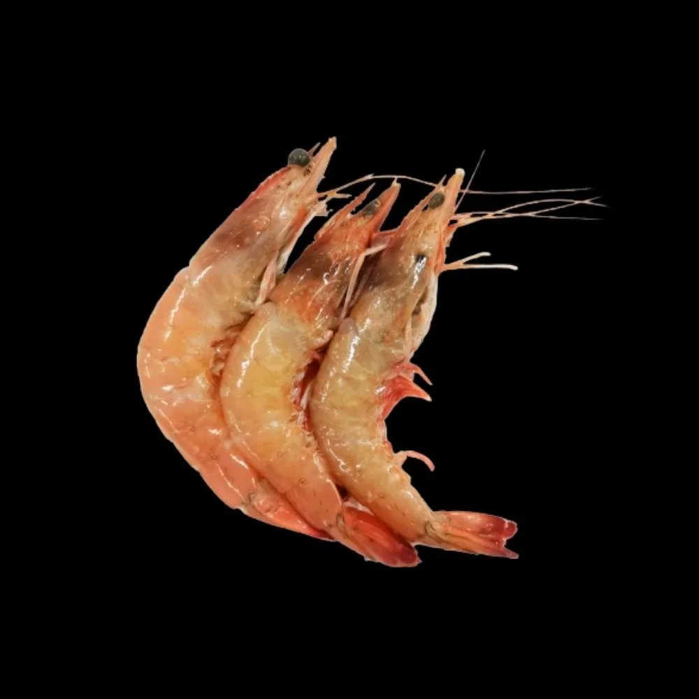 Camarones C/cabeza Xl