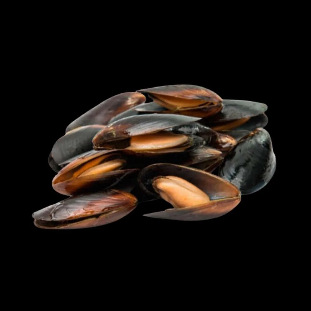 Mejillon Negro Paella