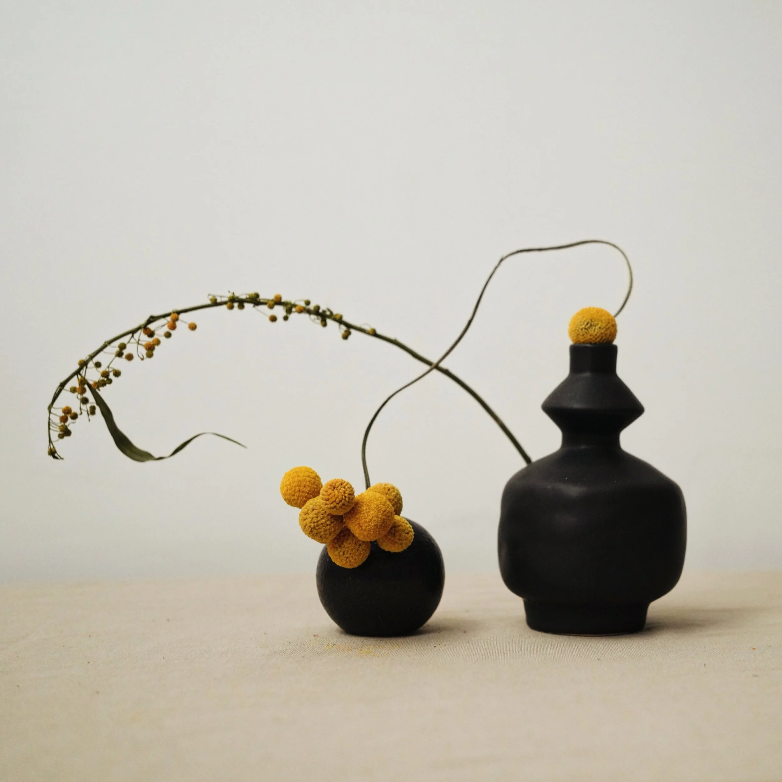 How is Ikebana Sustainable? | Part 2