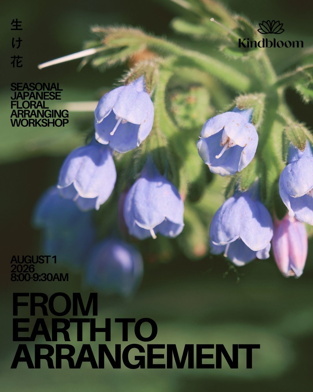 Summer 2026 workshop flyer.jpg