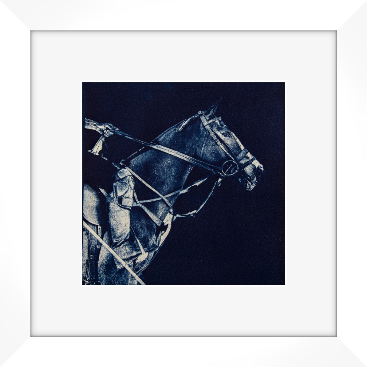 Silent Gallop