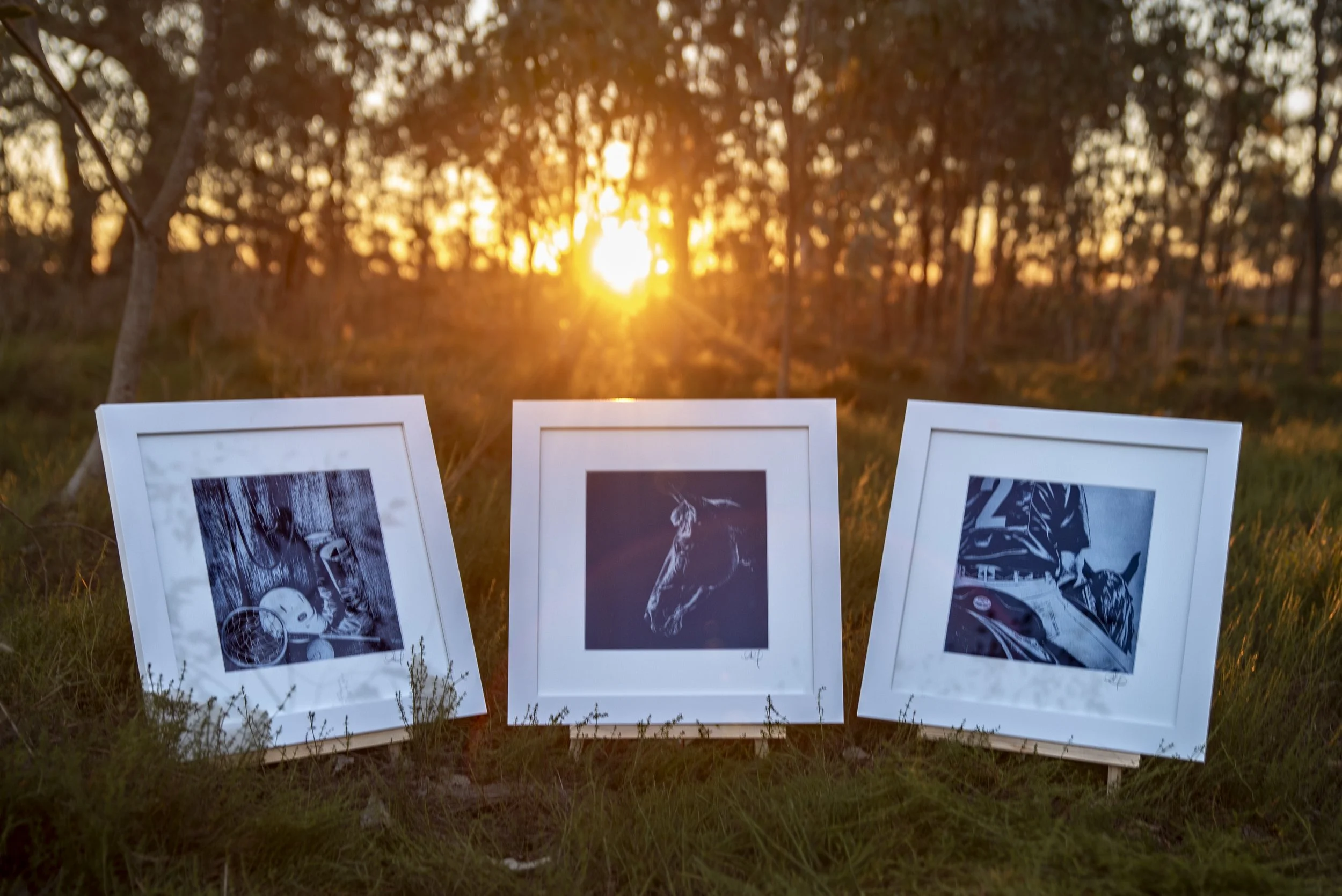 Three framed cyanotype artworks displayed outdoors in the rural landscape at sunset.