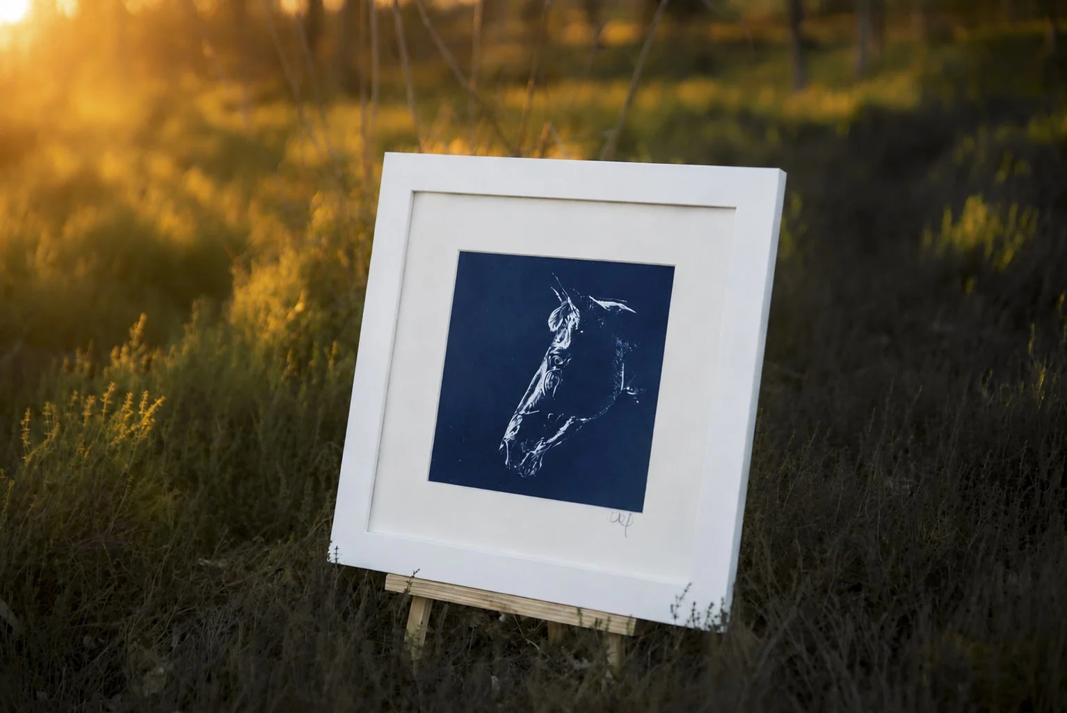 Framed blue and white horse cyanotype artwork displayed on an easel in the rural landscape.