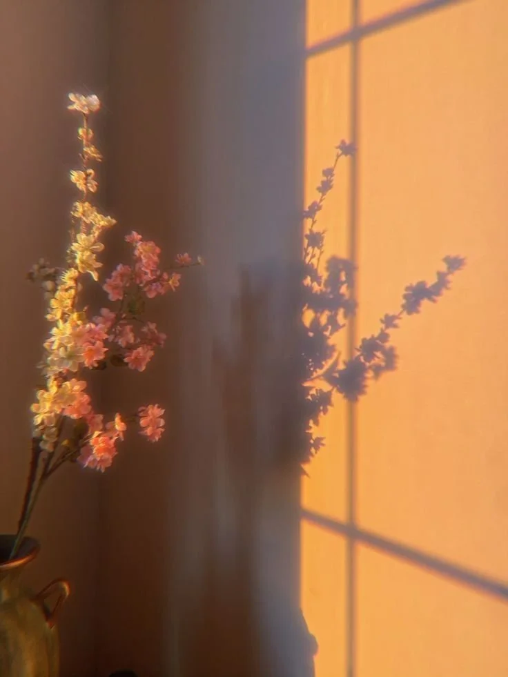 30 minute Inner Clarity Reading