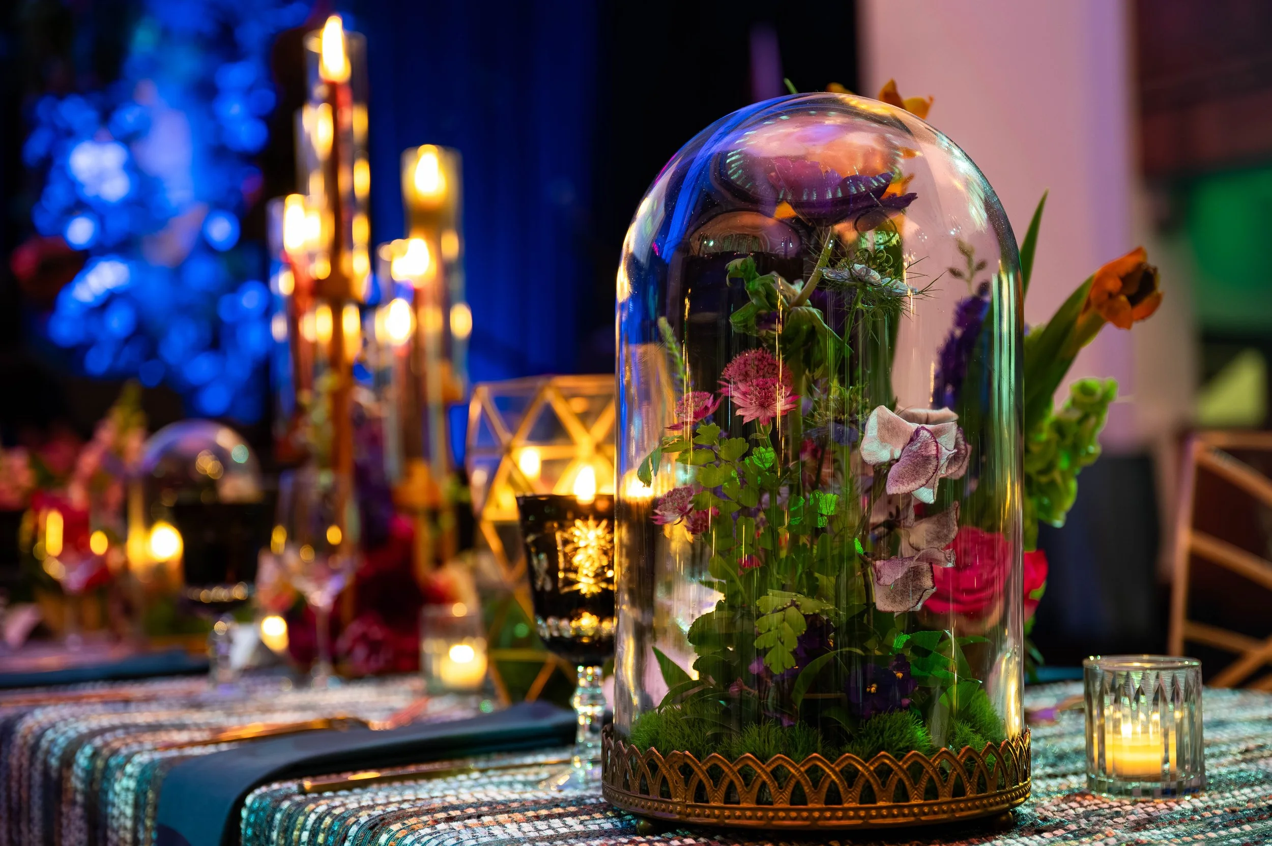 Lifelong_PrideGala_35.jpg