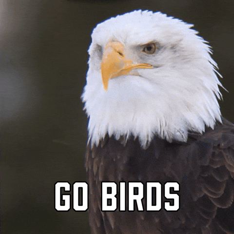 Philadelphia Eagles Sport GIF by Sealed With A GIF.gif