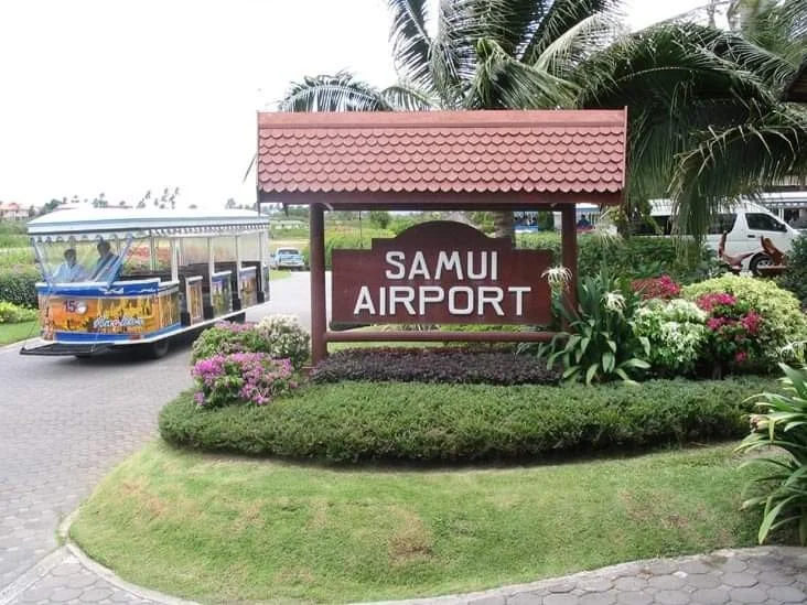 FB_IMG_1679288174380.jpg