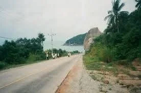 A paved road leading towards the ocean, with green vegetation on both sides, palm trees on the right, and a large rock formation near the water in the background.