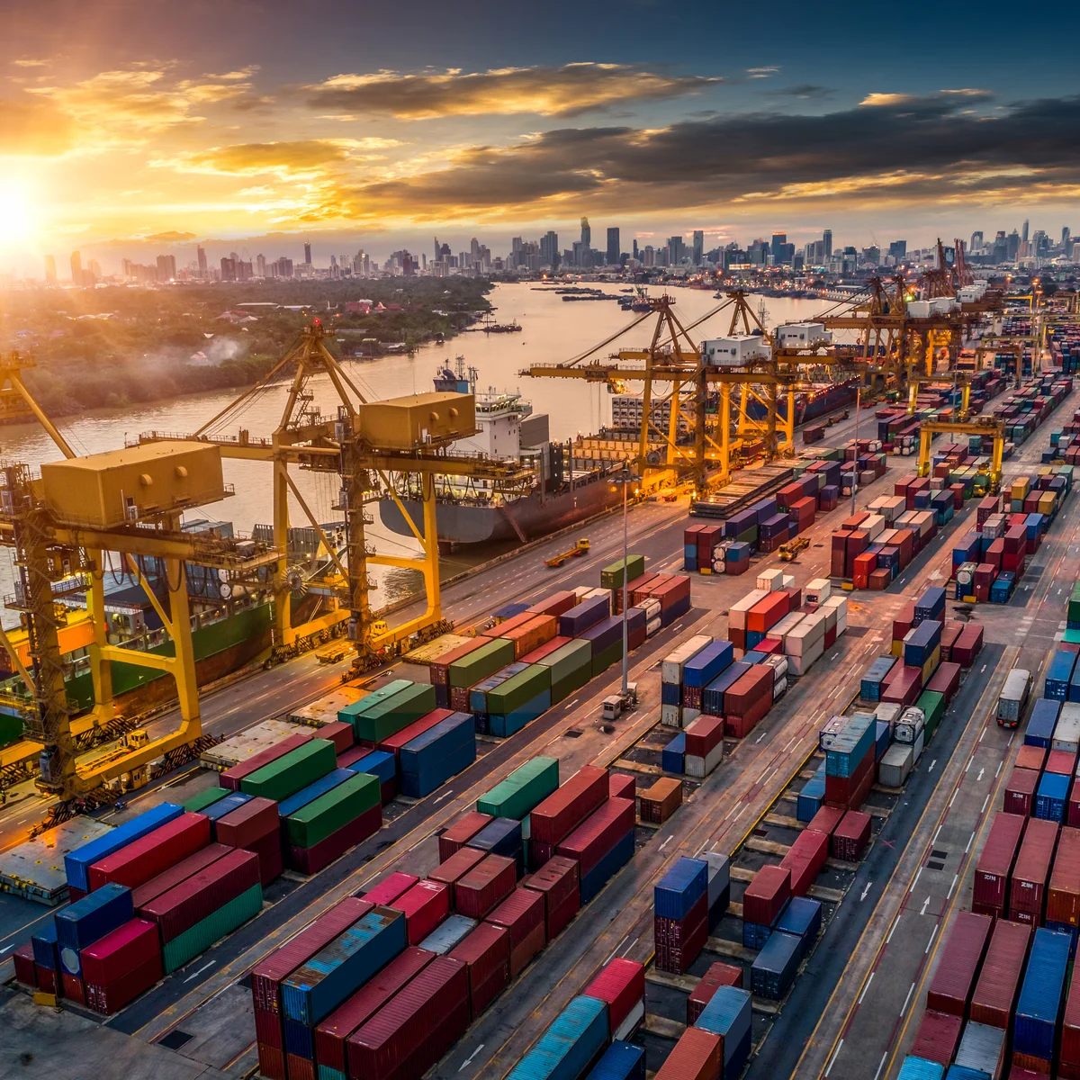 Does Anyone Believe in Free Trade?