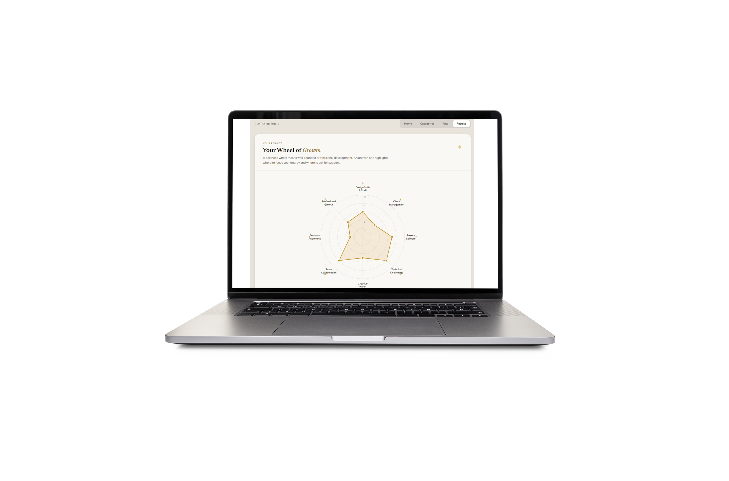 The Designer Clarity Bundle