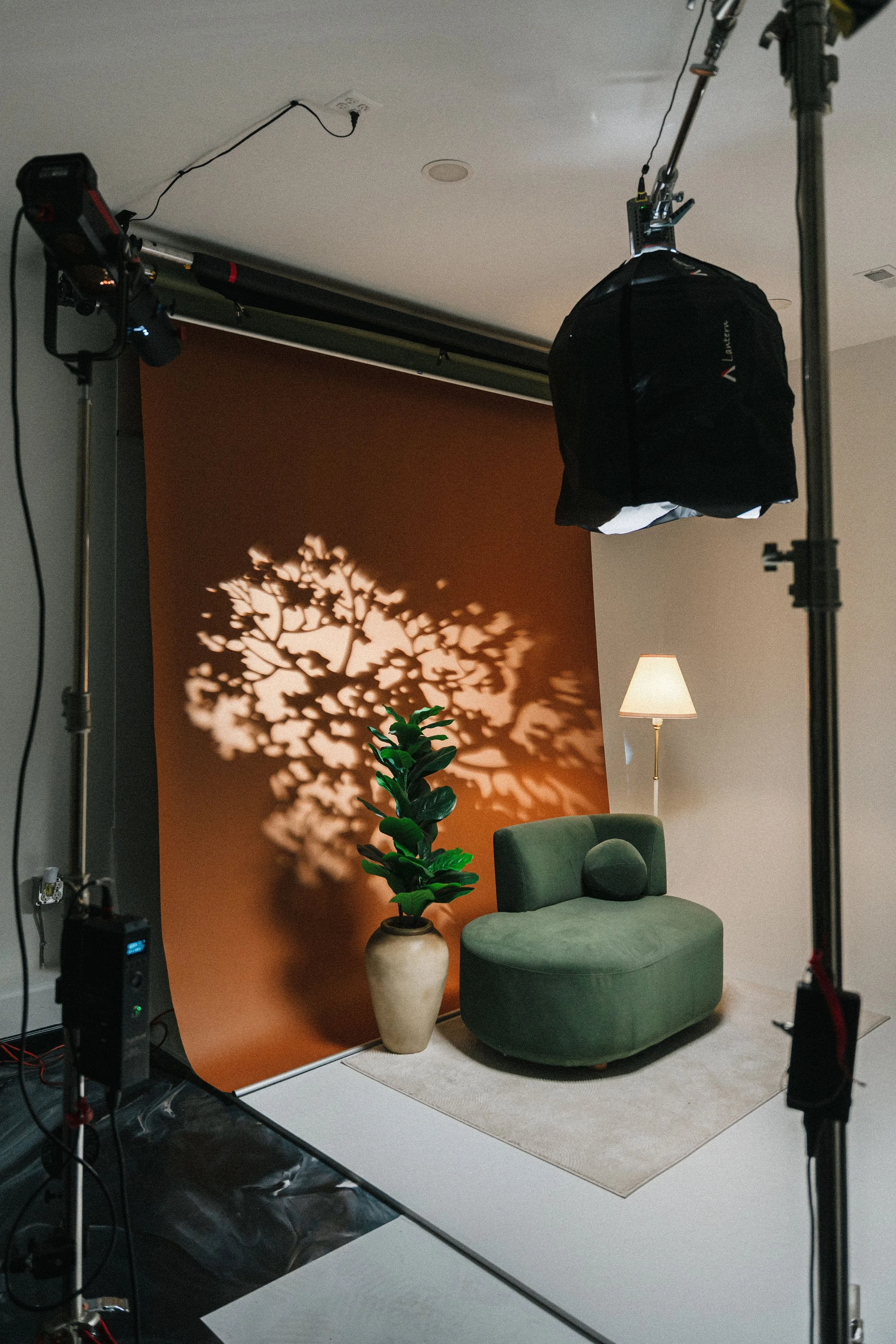 Photography setup with a brown backdrop, a green velvet chair, a tall potted plant, a floor lamp, and studio lighting equipment