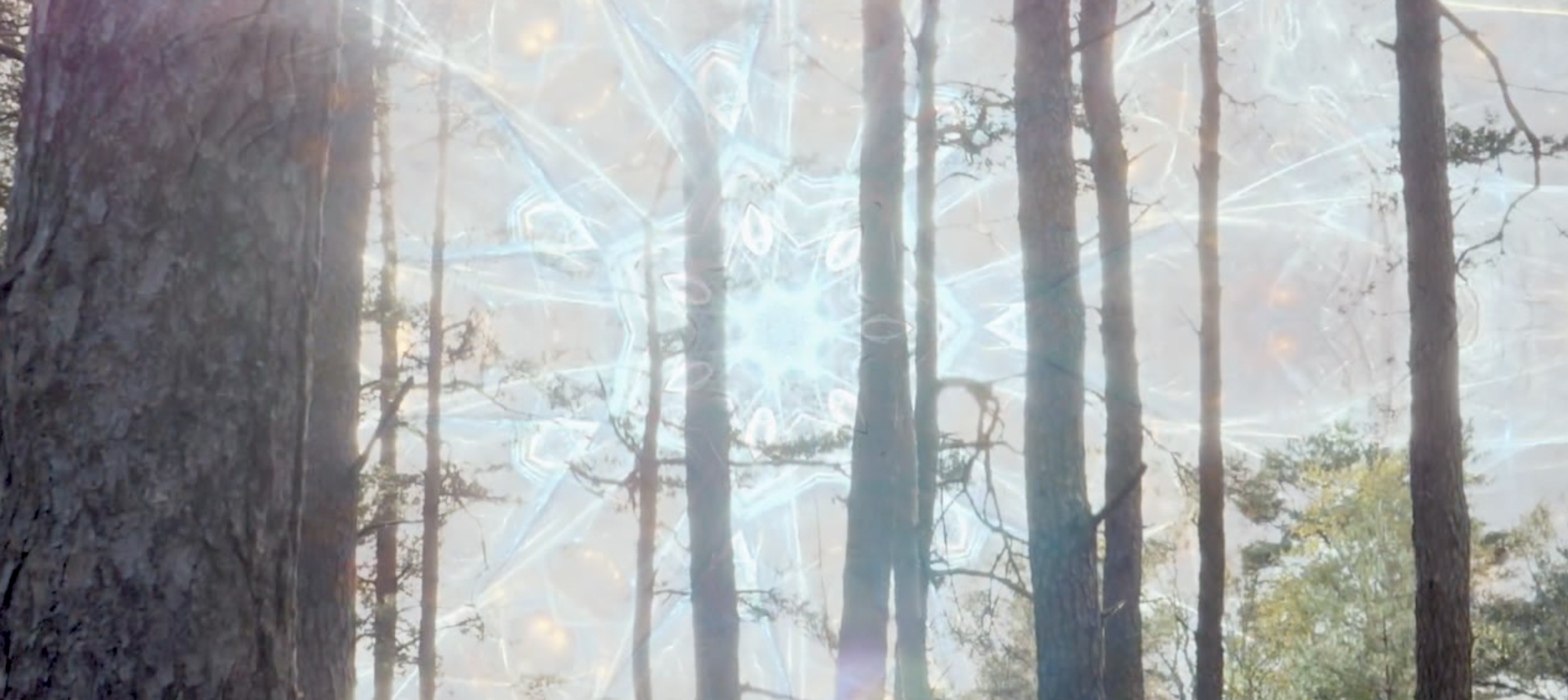 Mystery Cults Journey to the Inside