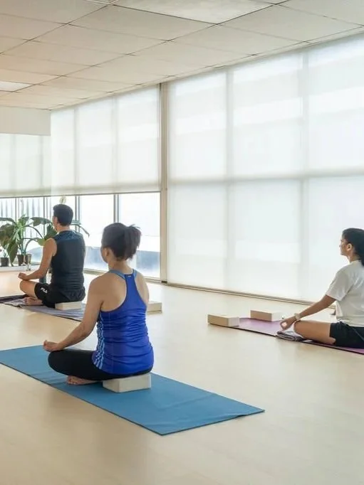 Three people sitting on yoga mats practicing meditation in a bright studio with large windows decorated with plants.