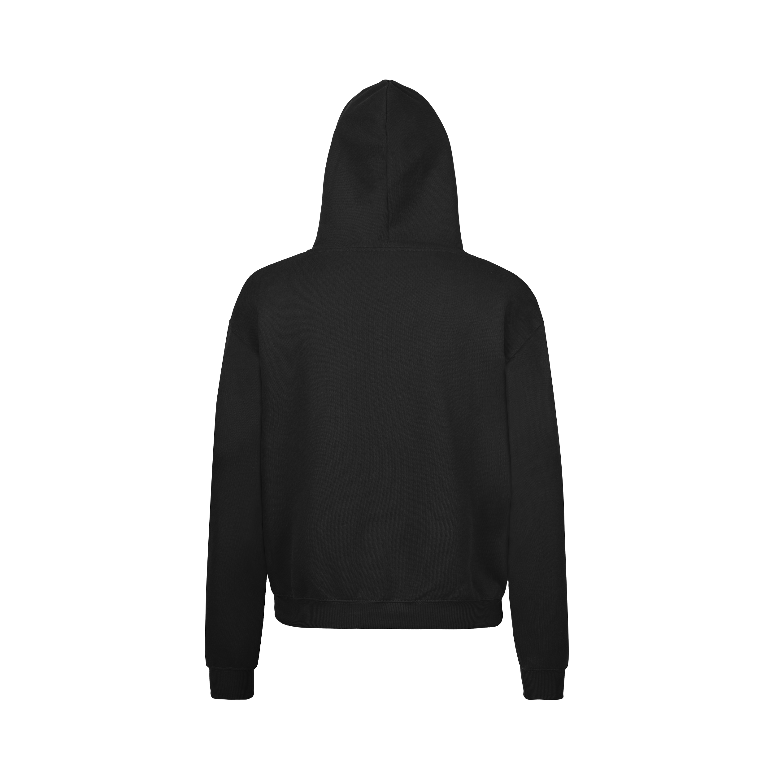 Black_Oversized_Hoodie_Back.png