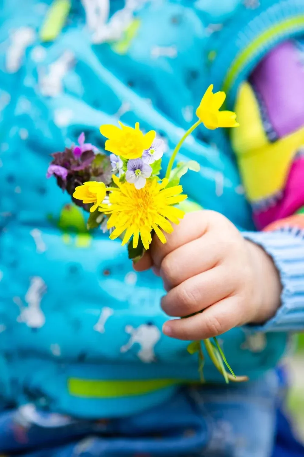 A child's hand holds a colorful bouquet of wildflowers, including yellow dandelions, with a vibrant blue jacket in the background, creating a cheerful, playful tone.