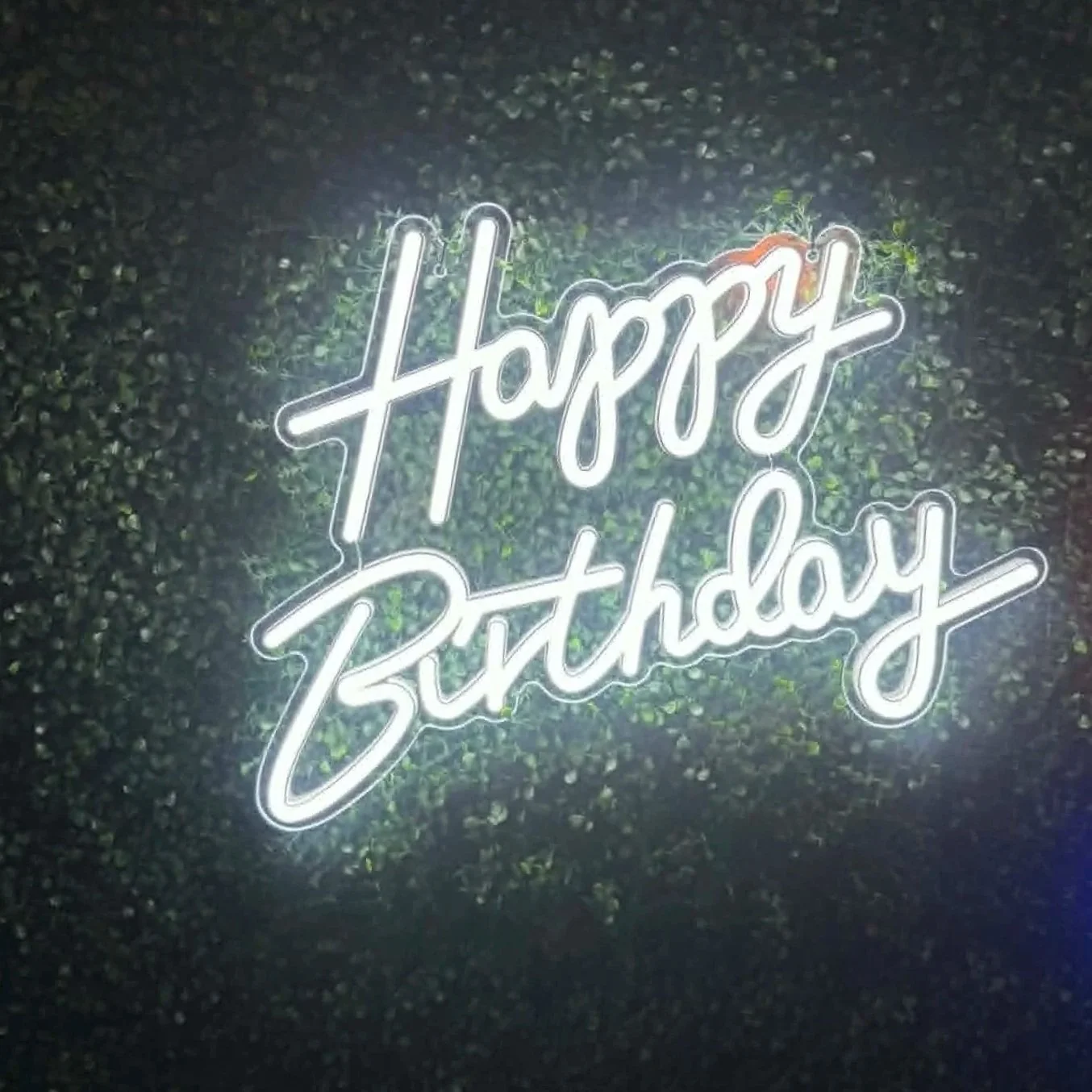 d2f97e27-6b4e-49be-b5e4-70c10f09053a.jpg