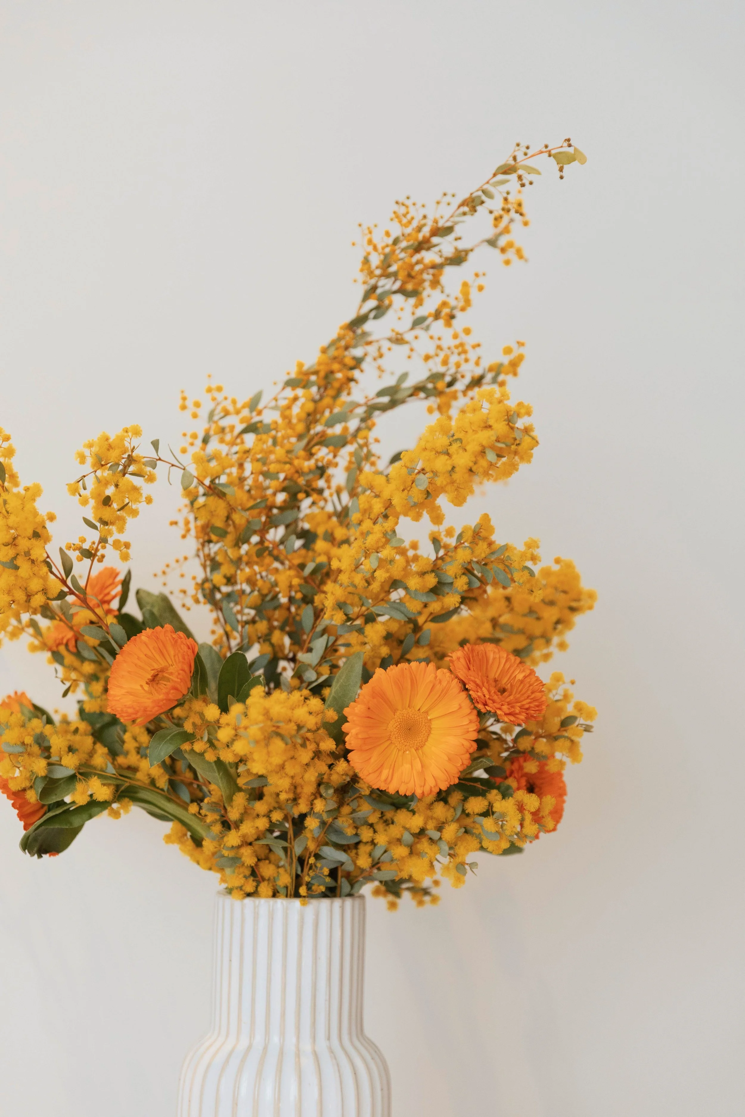 You Don’t Need Fixing, You Need Freedom