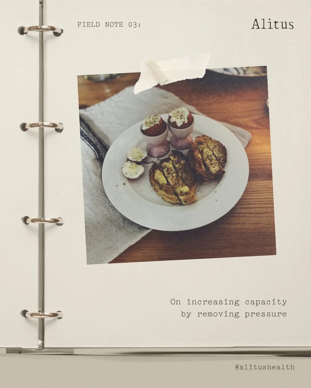 Field notes 03: On increasing capacity by removing pressure 🍳 

&mdash;&mdash;&mdash;

#ecologyofnourishment #nervoussystemhealing #everydaynourishment #realeating #capacitybuilding