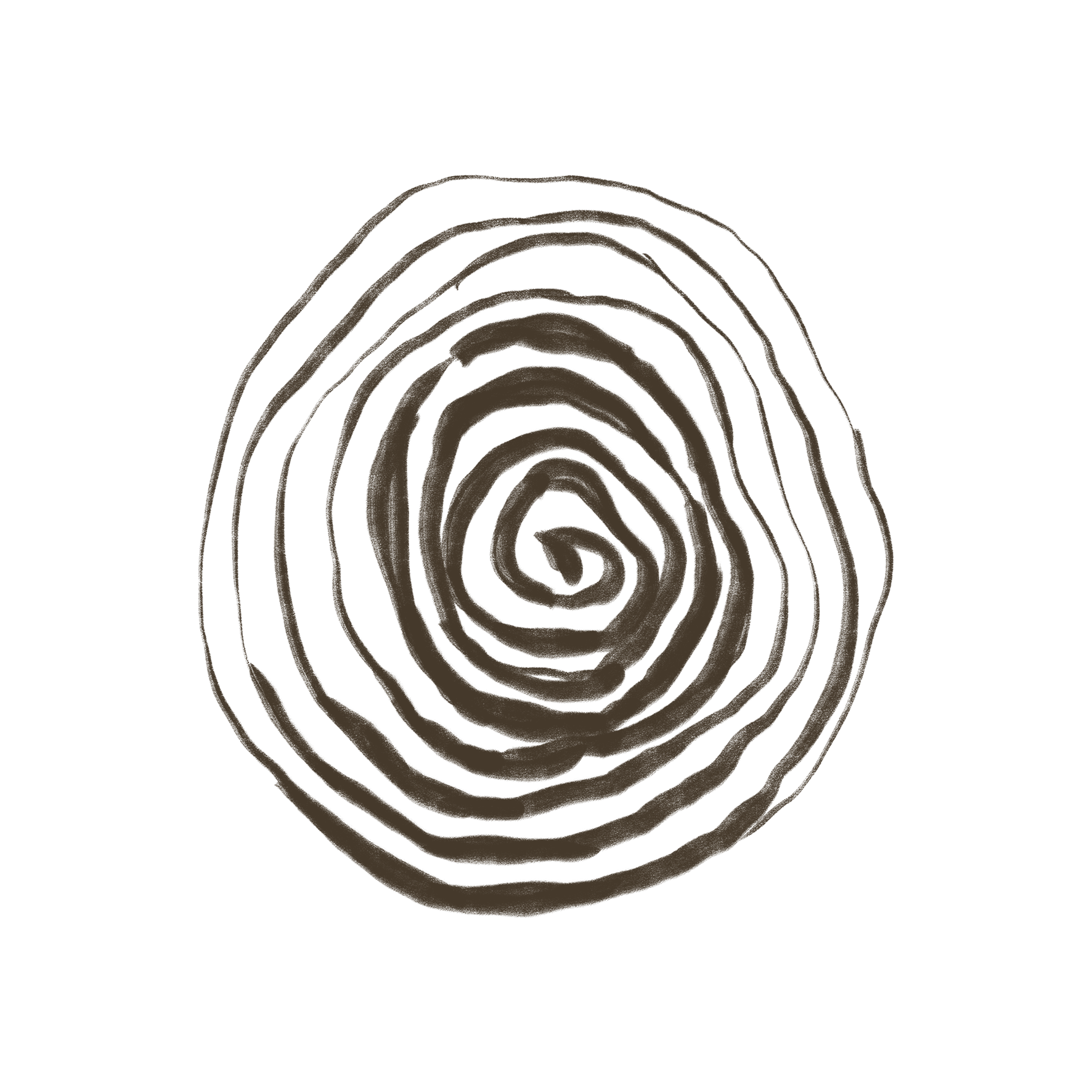 Alitus Pillar Embodiment: hand drawn, dark brown illustration of a spiral reminiscent of a fingerprint or a tree cross-section on a transparent background.