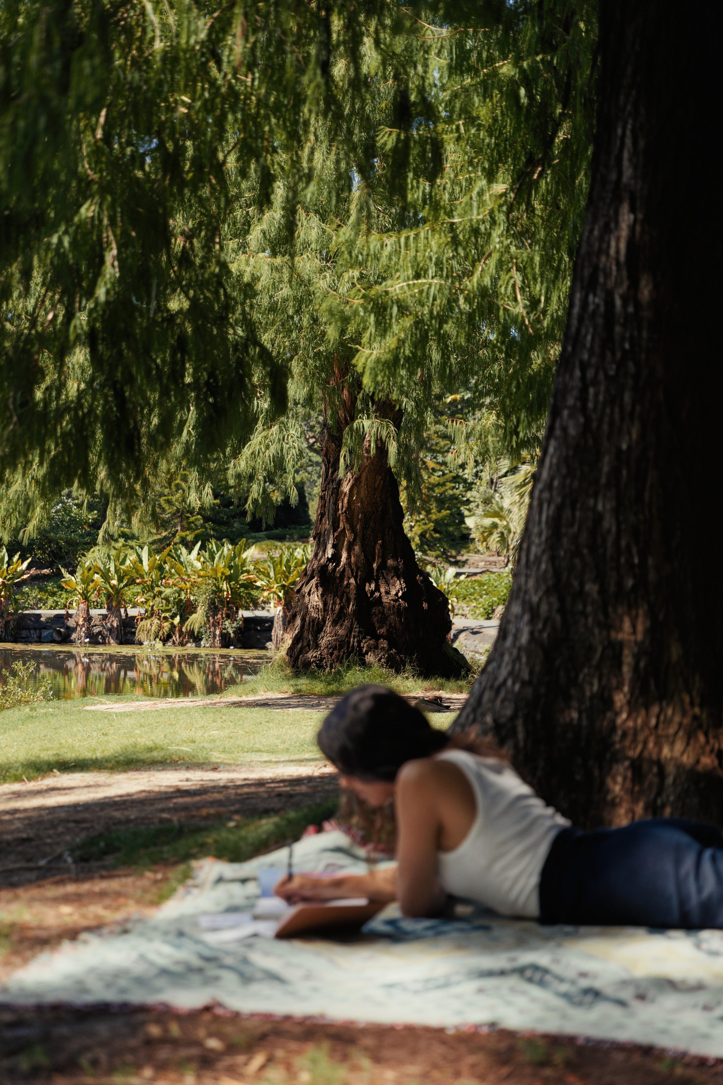 A woman lying on a blanket under a large tree, writing or drawing on a notepad in a park with lush green trees and grass.