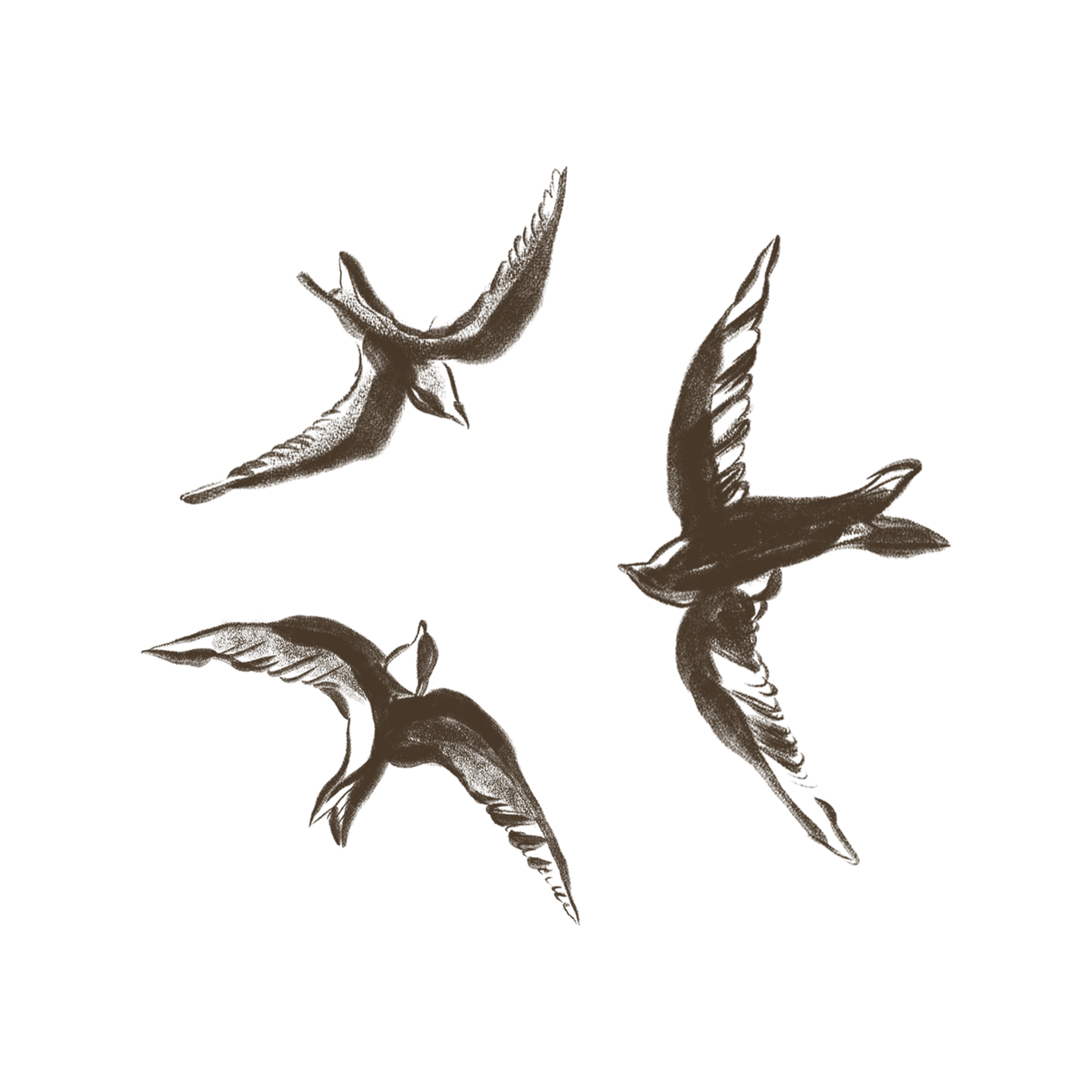 Alitus Pillar Connection: hand drawn, dark brown illustration of several flying birds on a transparent background.