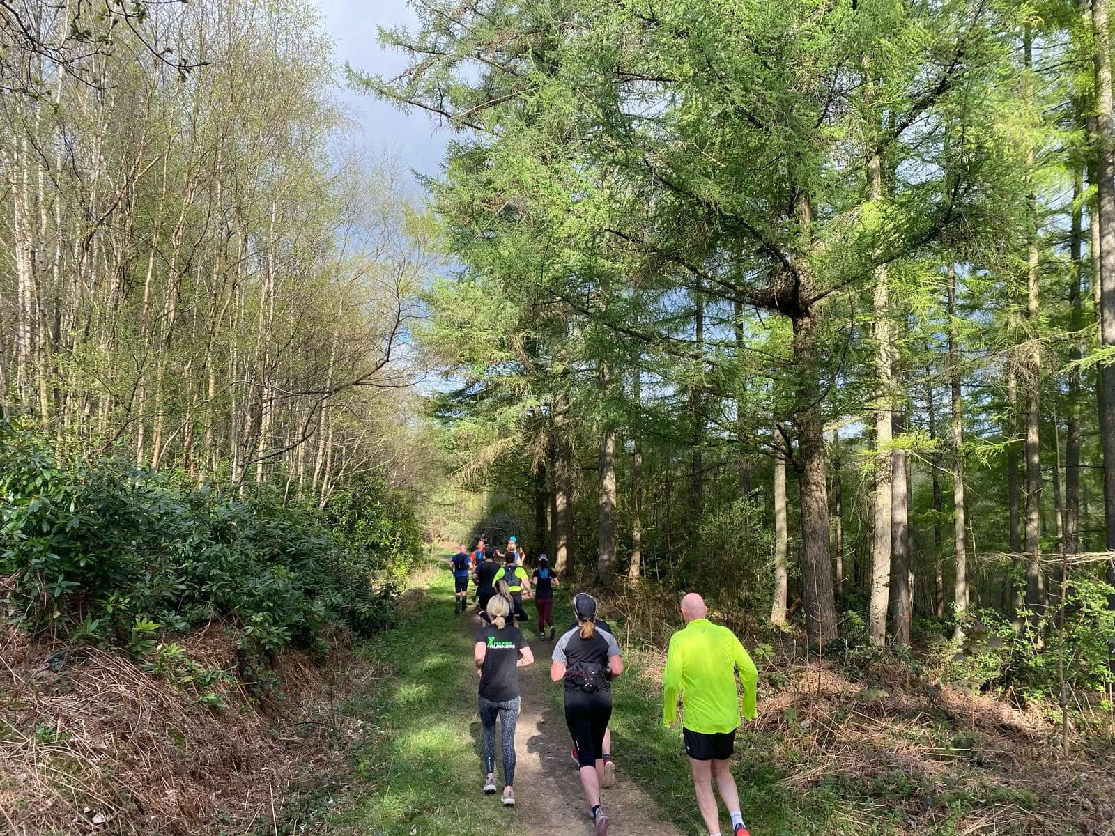 A group of people trail running or hiking through a forest with green trees and a dirt path