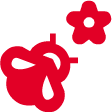 Red apple and a red flower on a black background
