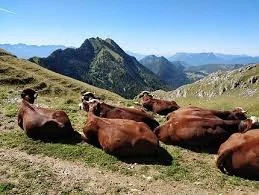 Exemples de balades et de randonnées