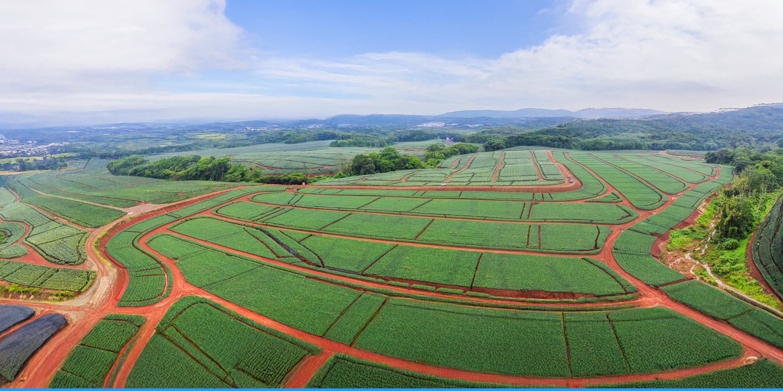 Aerial view of a large agricultural farm with green crops, red dirt roads, and some trees, with hills and a cloudy sky in the background.