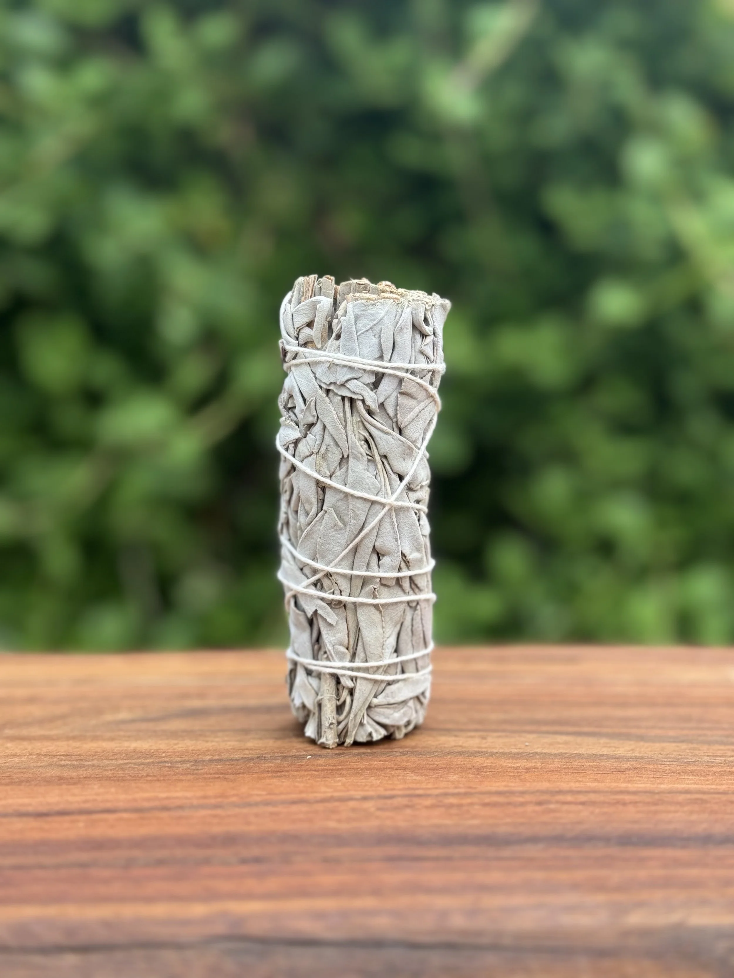 White Sage Smudge Stick