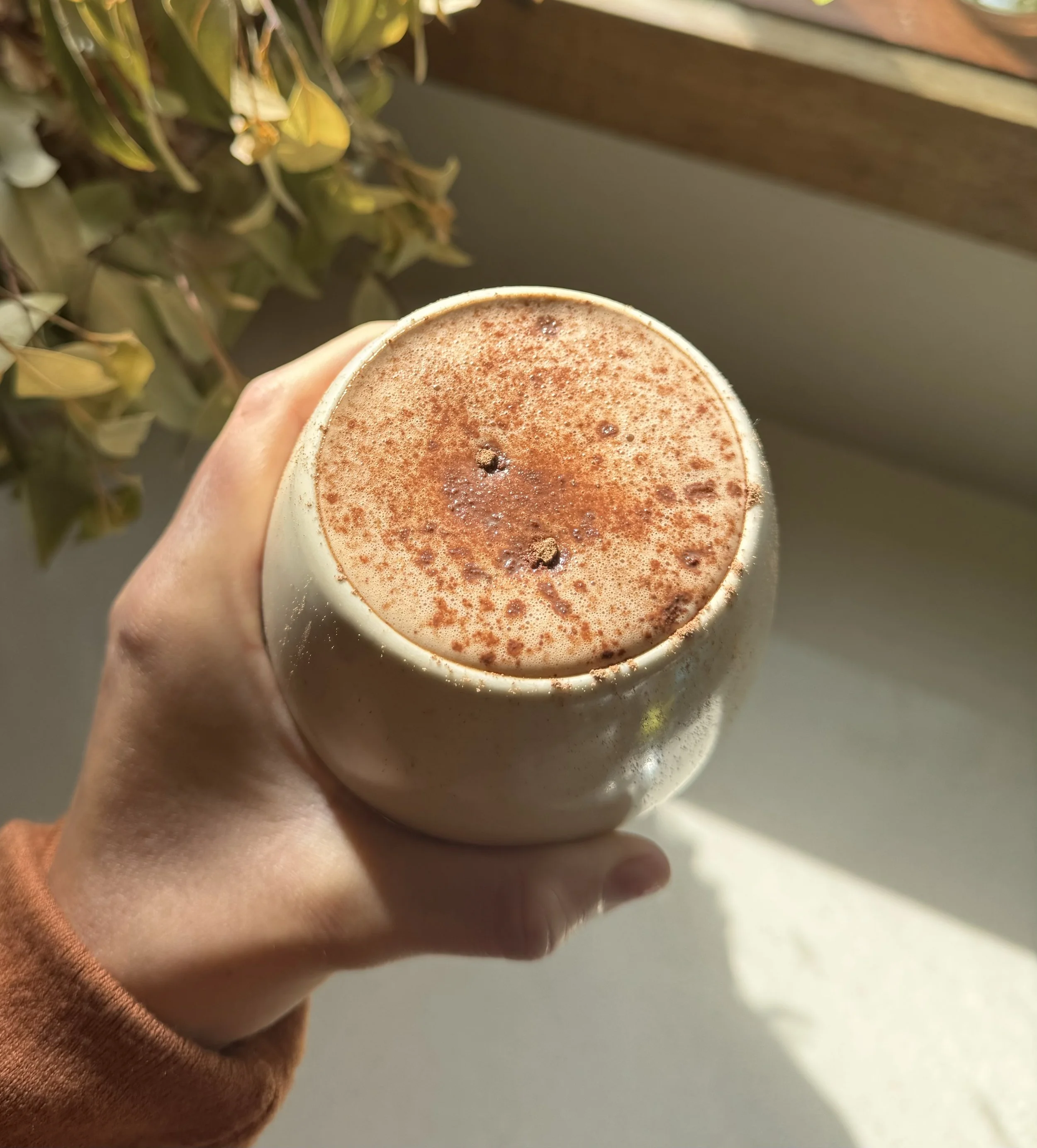 cacao.jpg