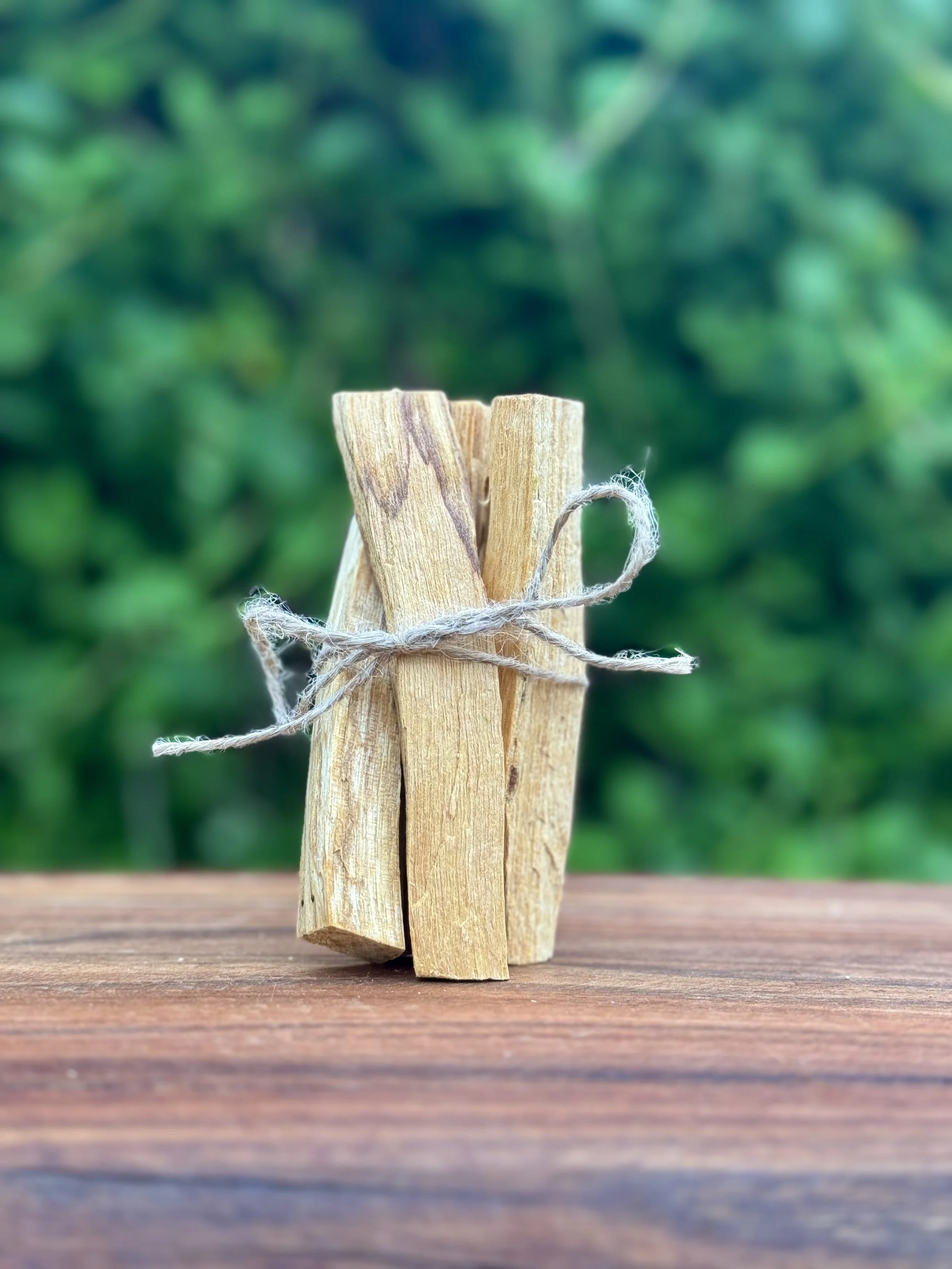 PALO santo.jpg