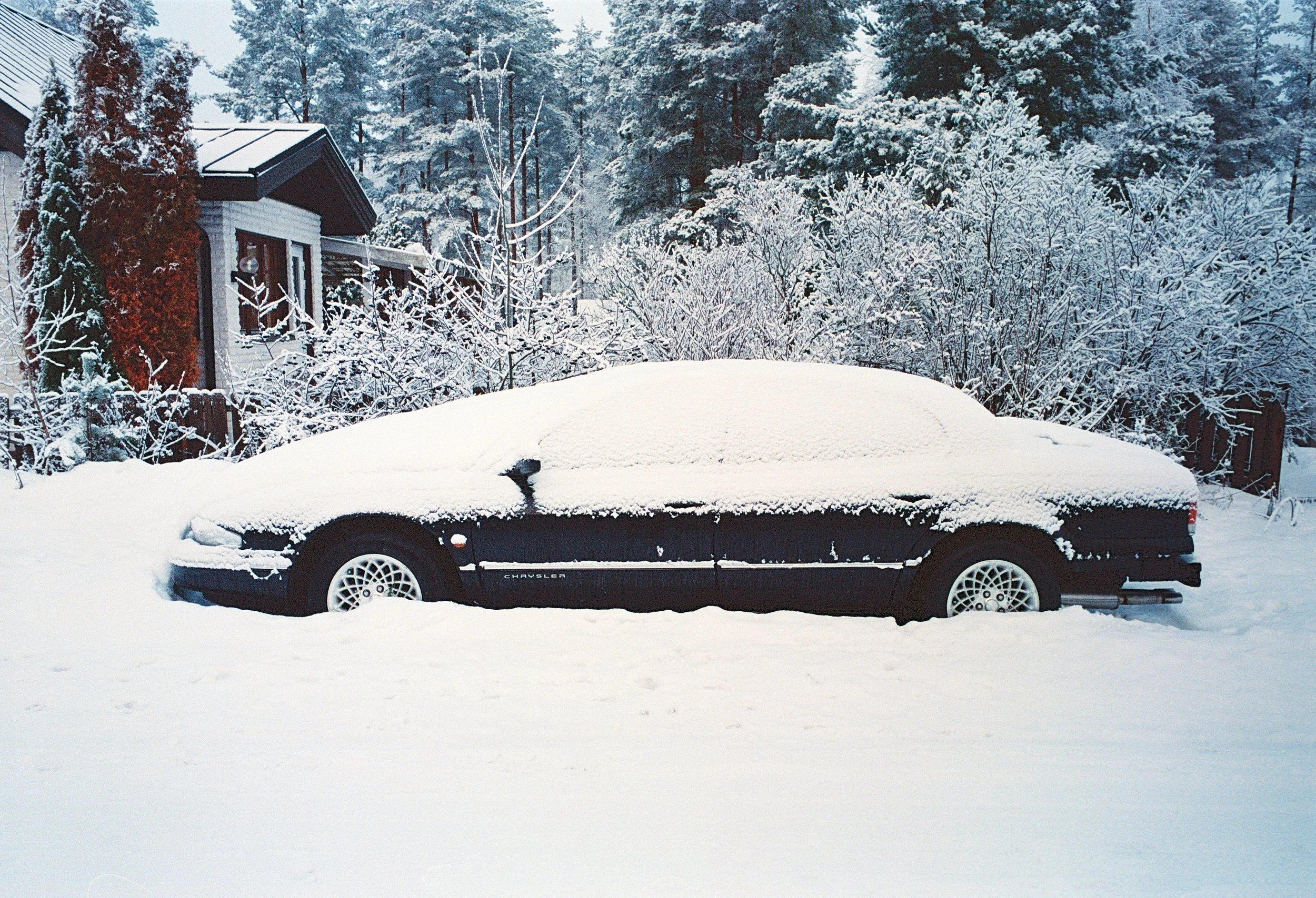 Dec24_P800_ (30).jpg