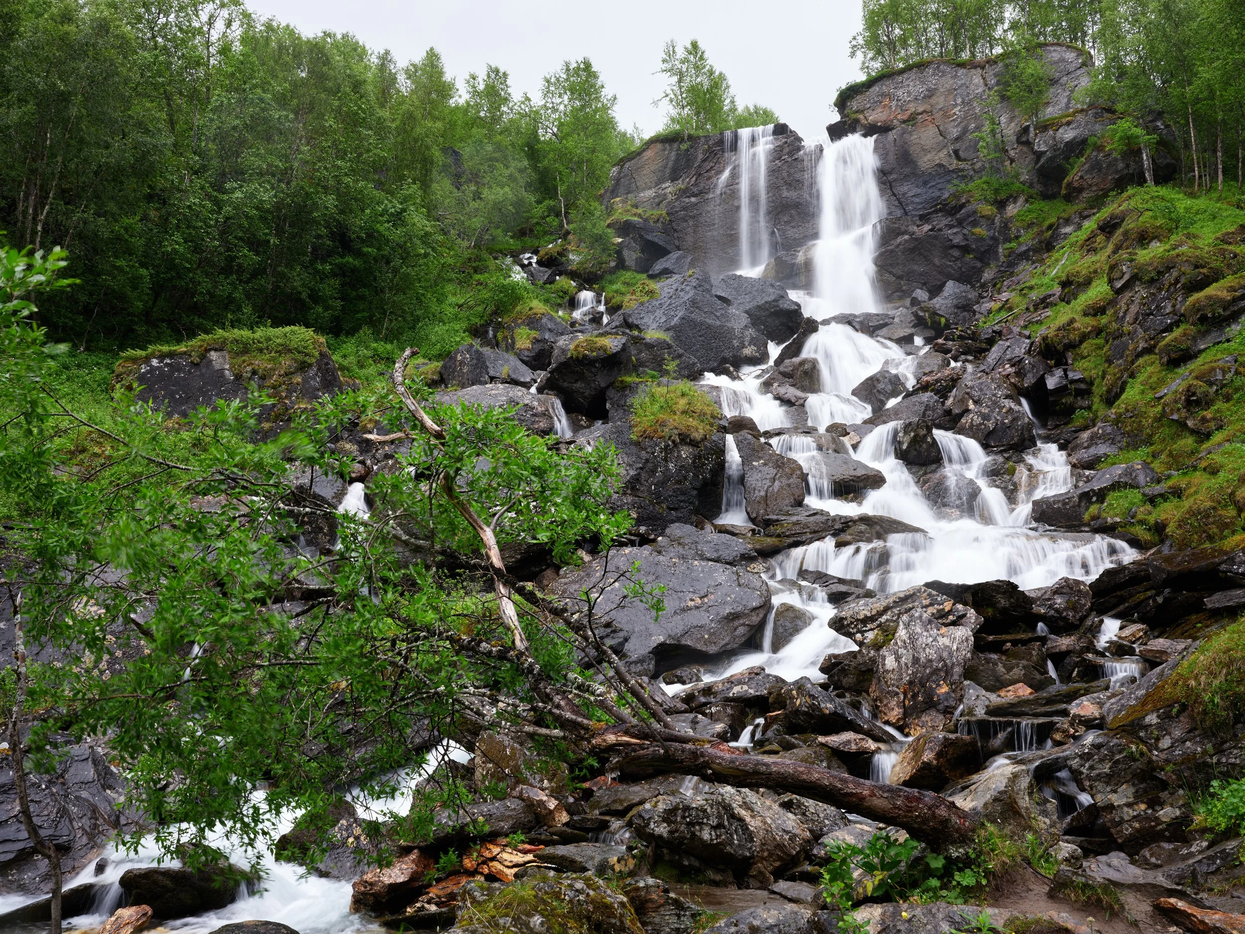 DSCF3113.jpg