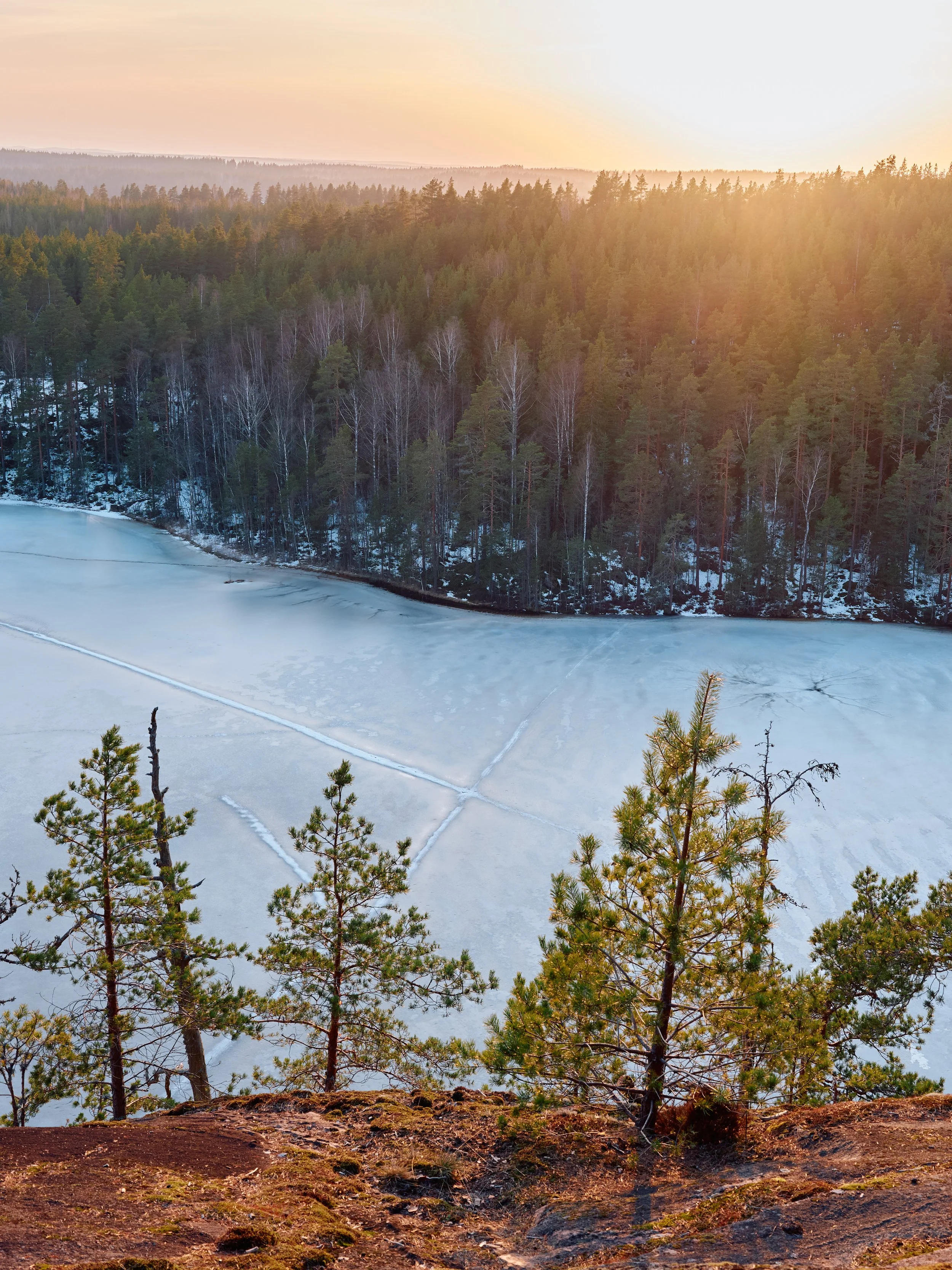 DSCF2486Nuuksio_.jpg