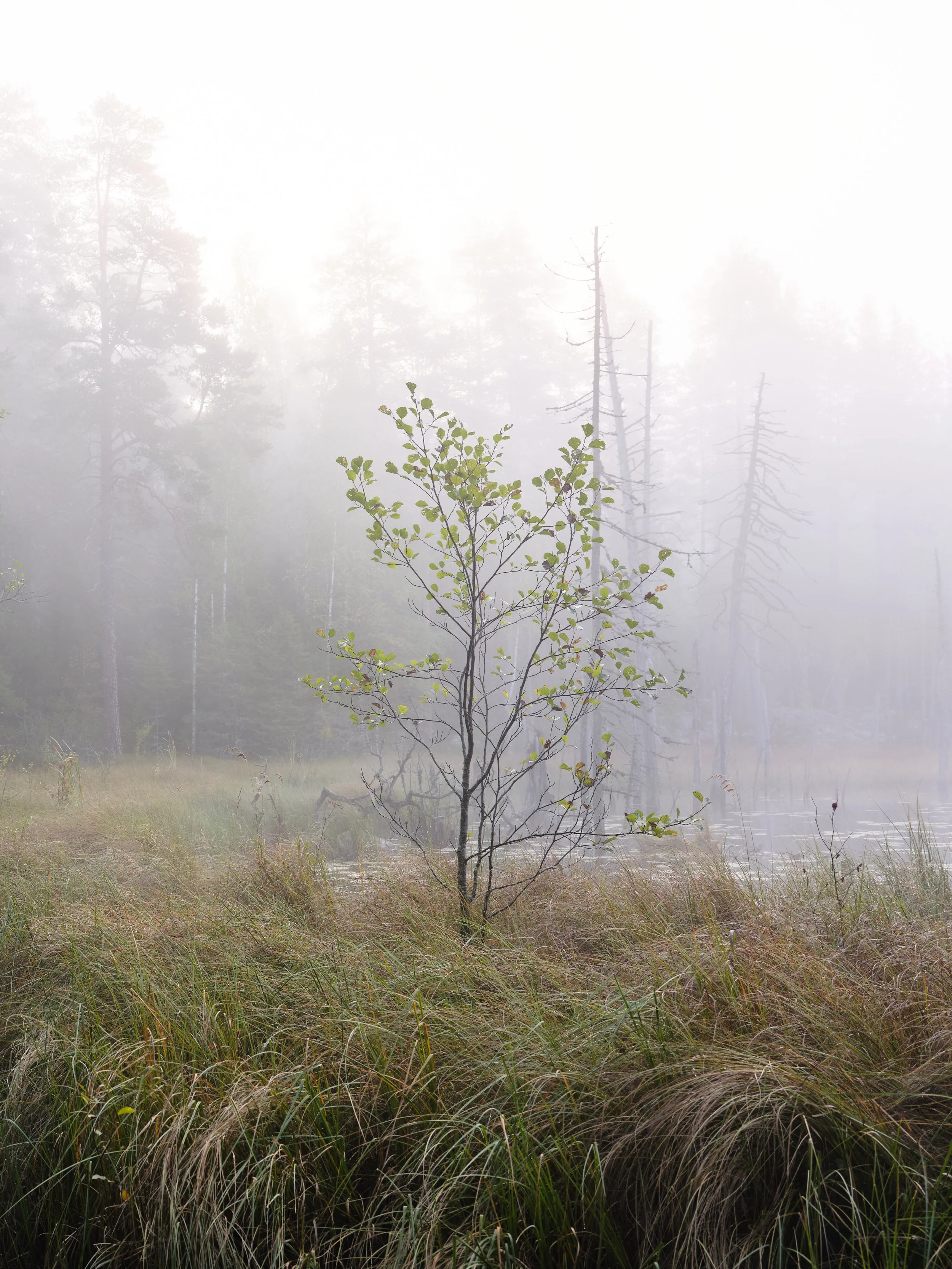 DSCF3985.jpg