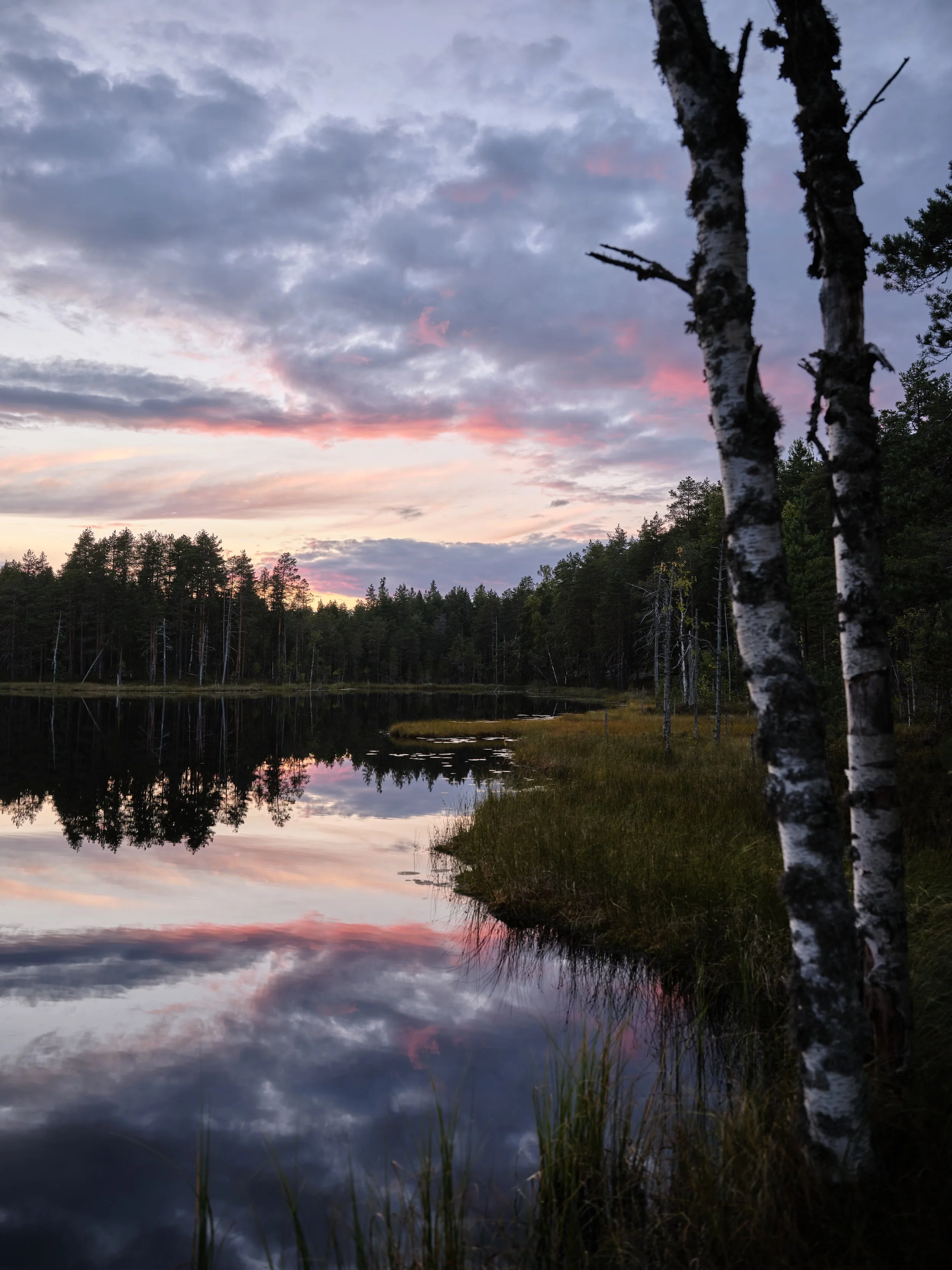 DSCF3876.jpg