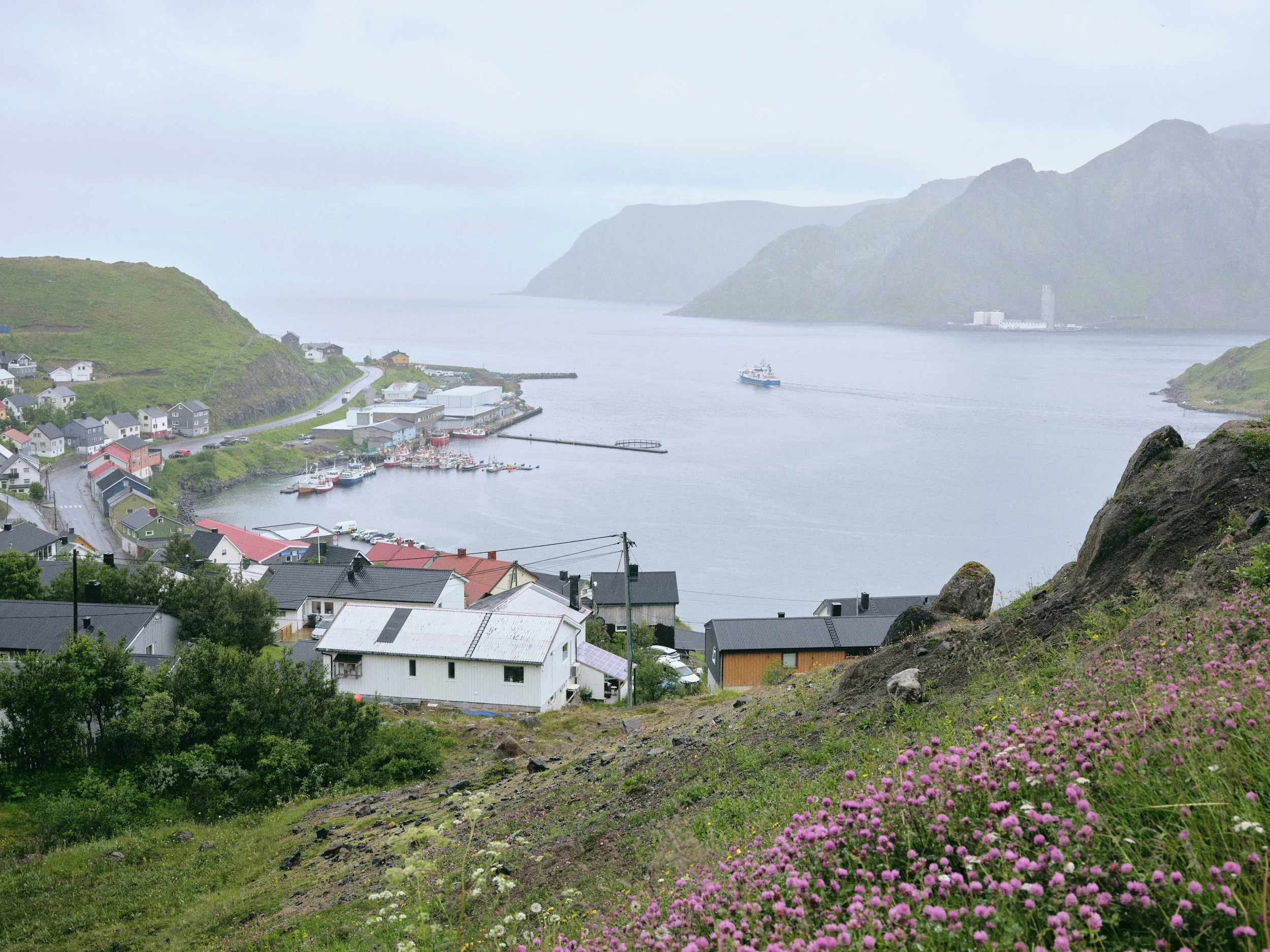 DSCF2926.jpg