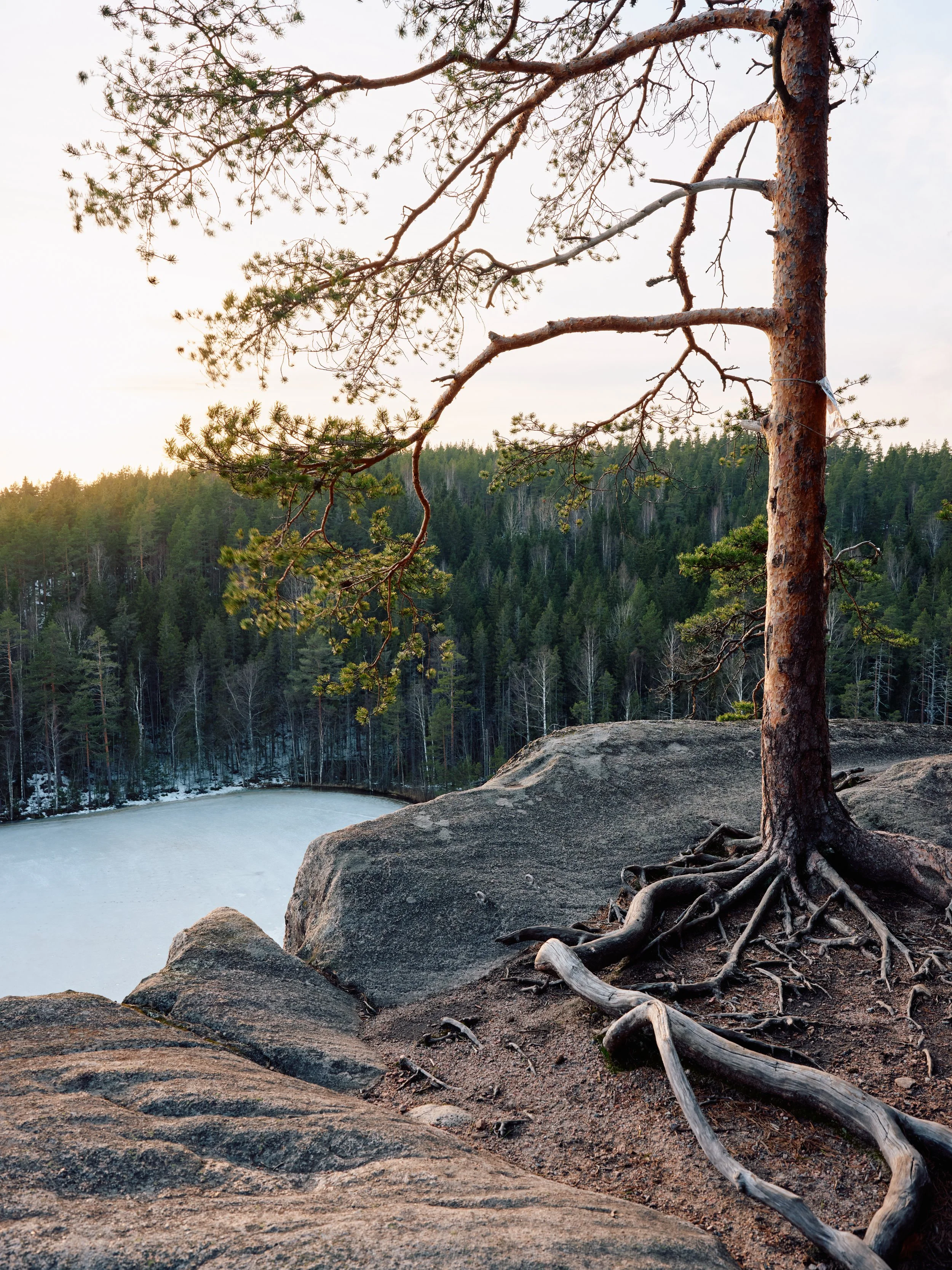 DSCF2465Nuuksio_.jpg