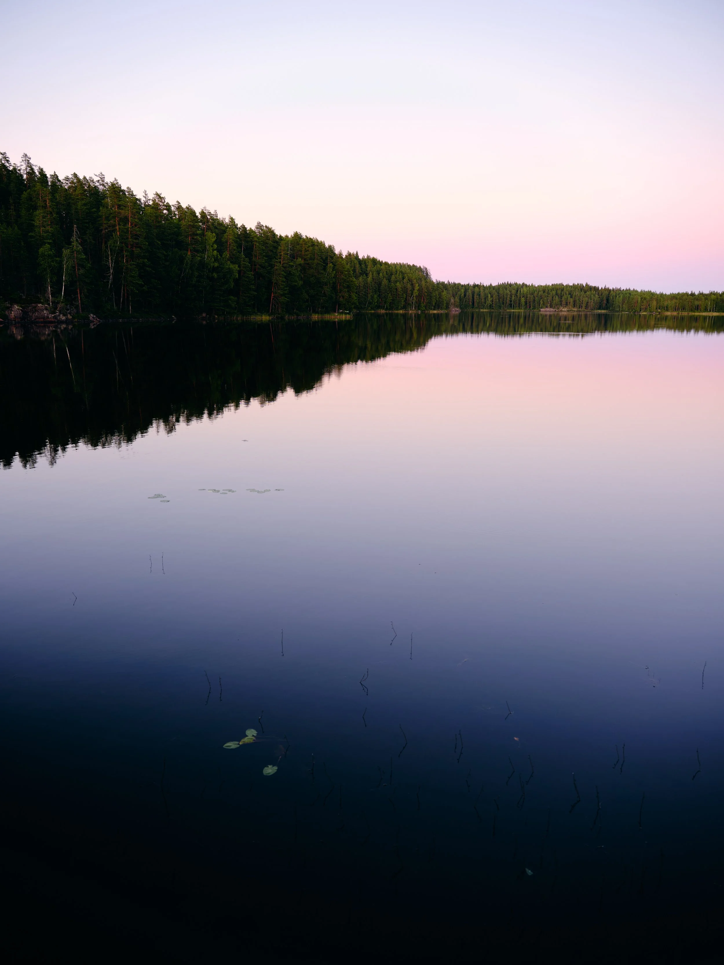 DSCF3556.jpg