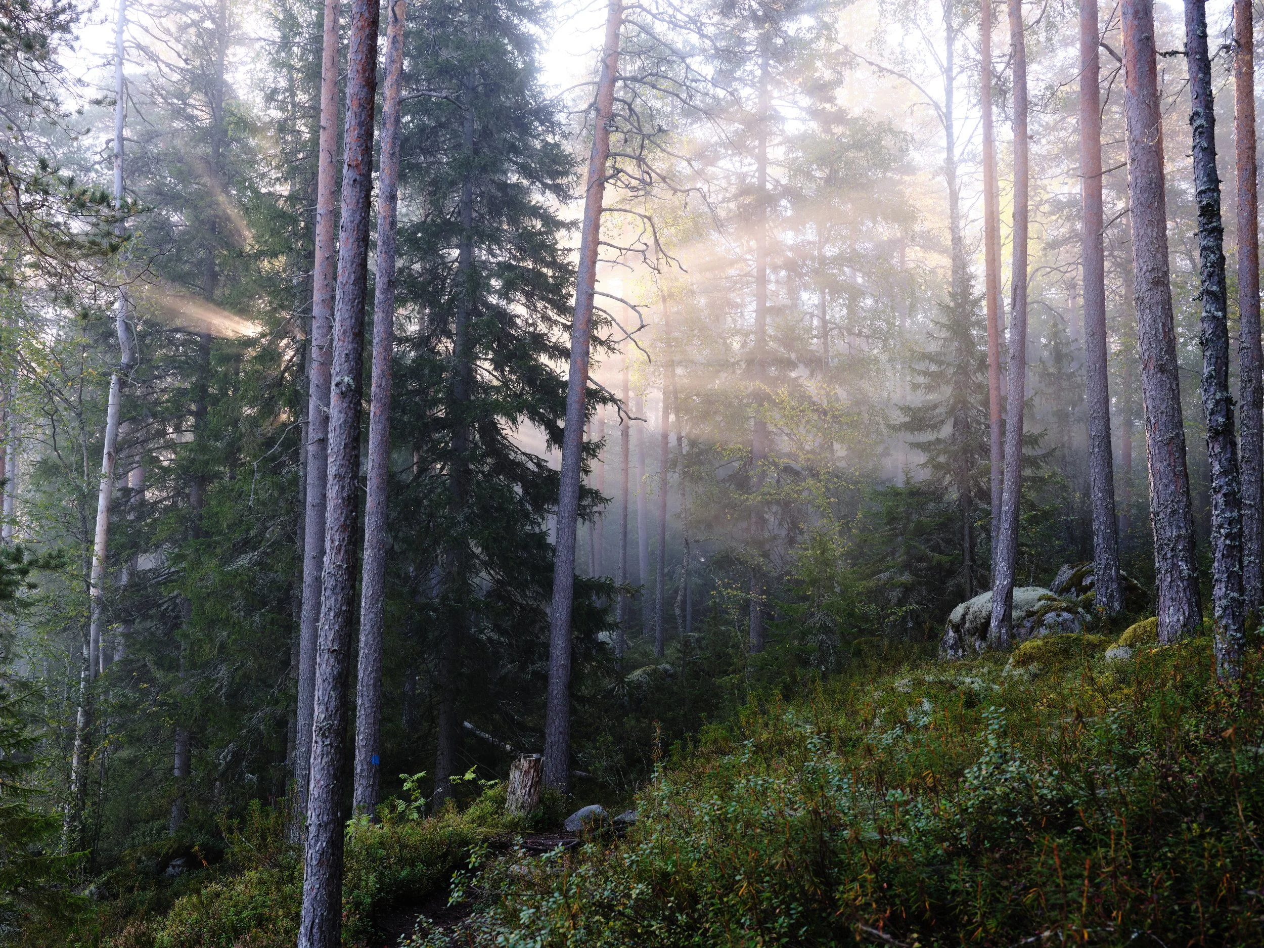 DSCF4036.jpg