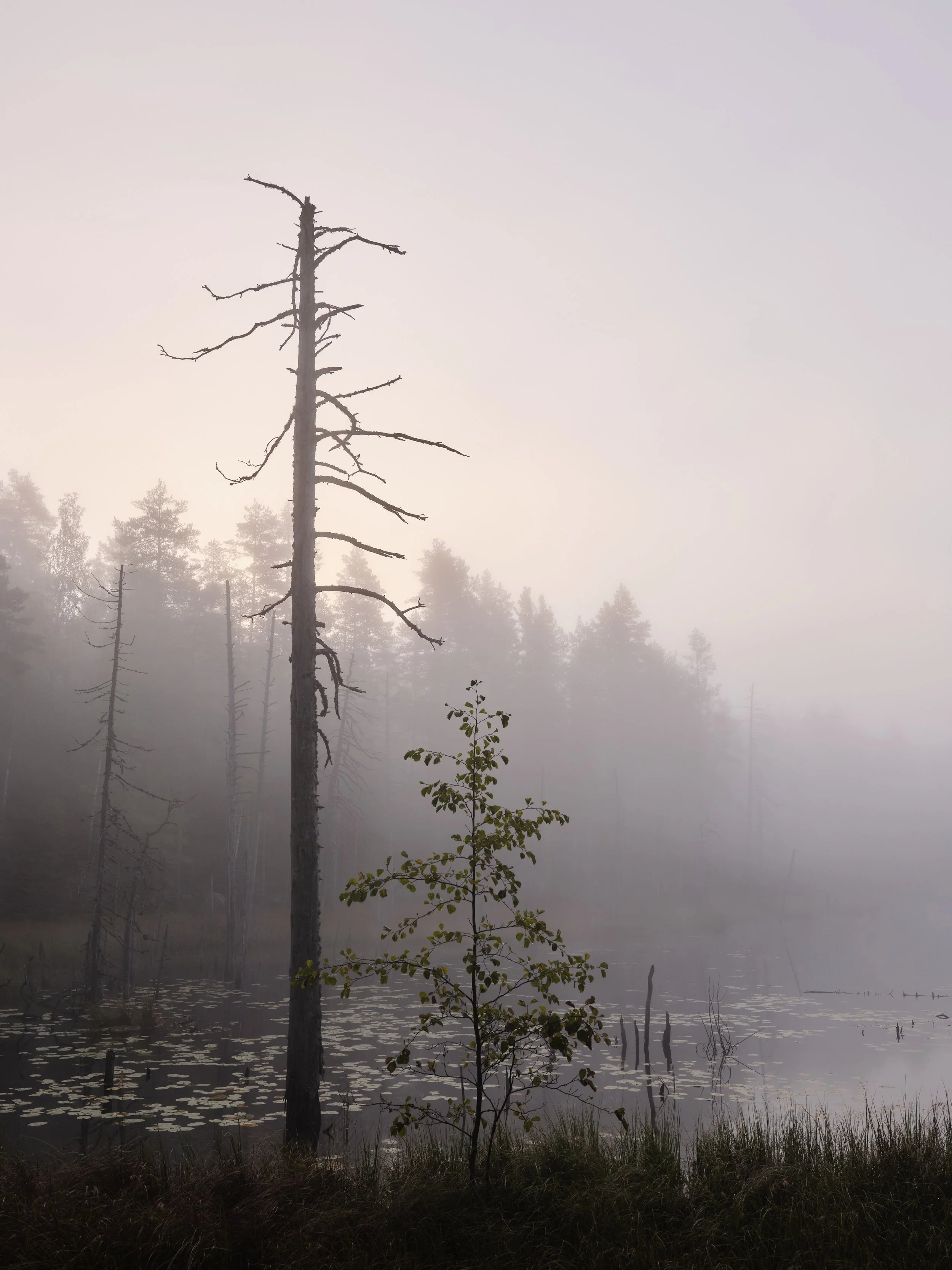 DSCF3986.jpg