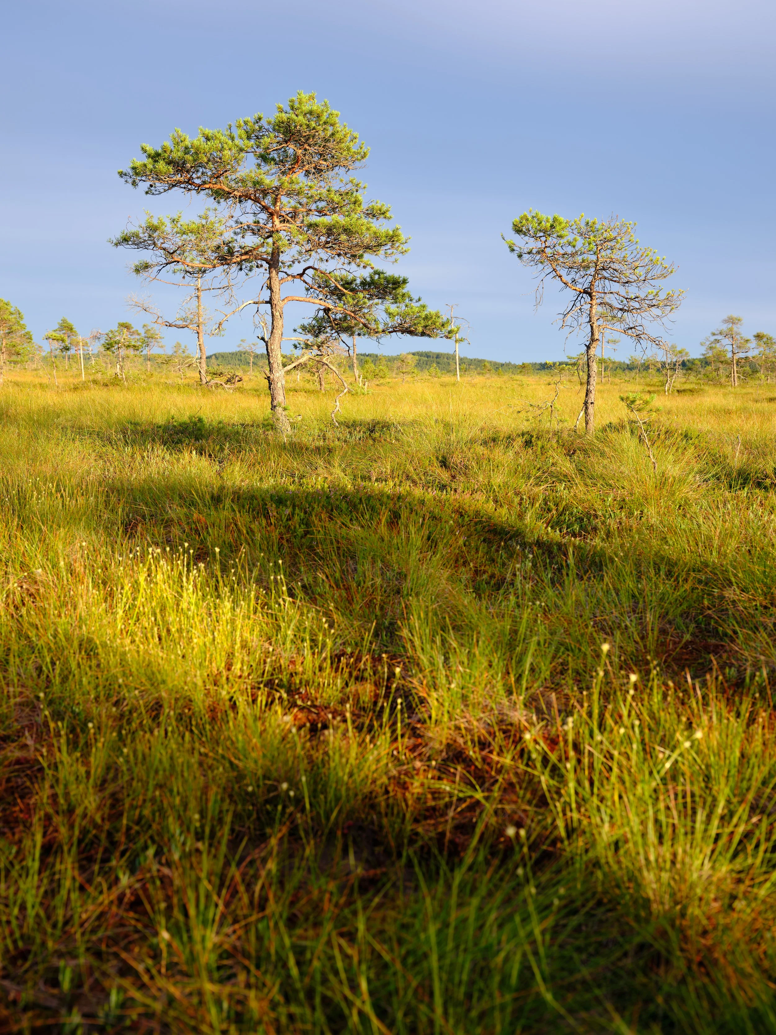 DSCF3584.jpg