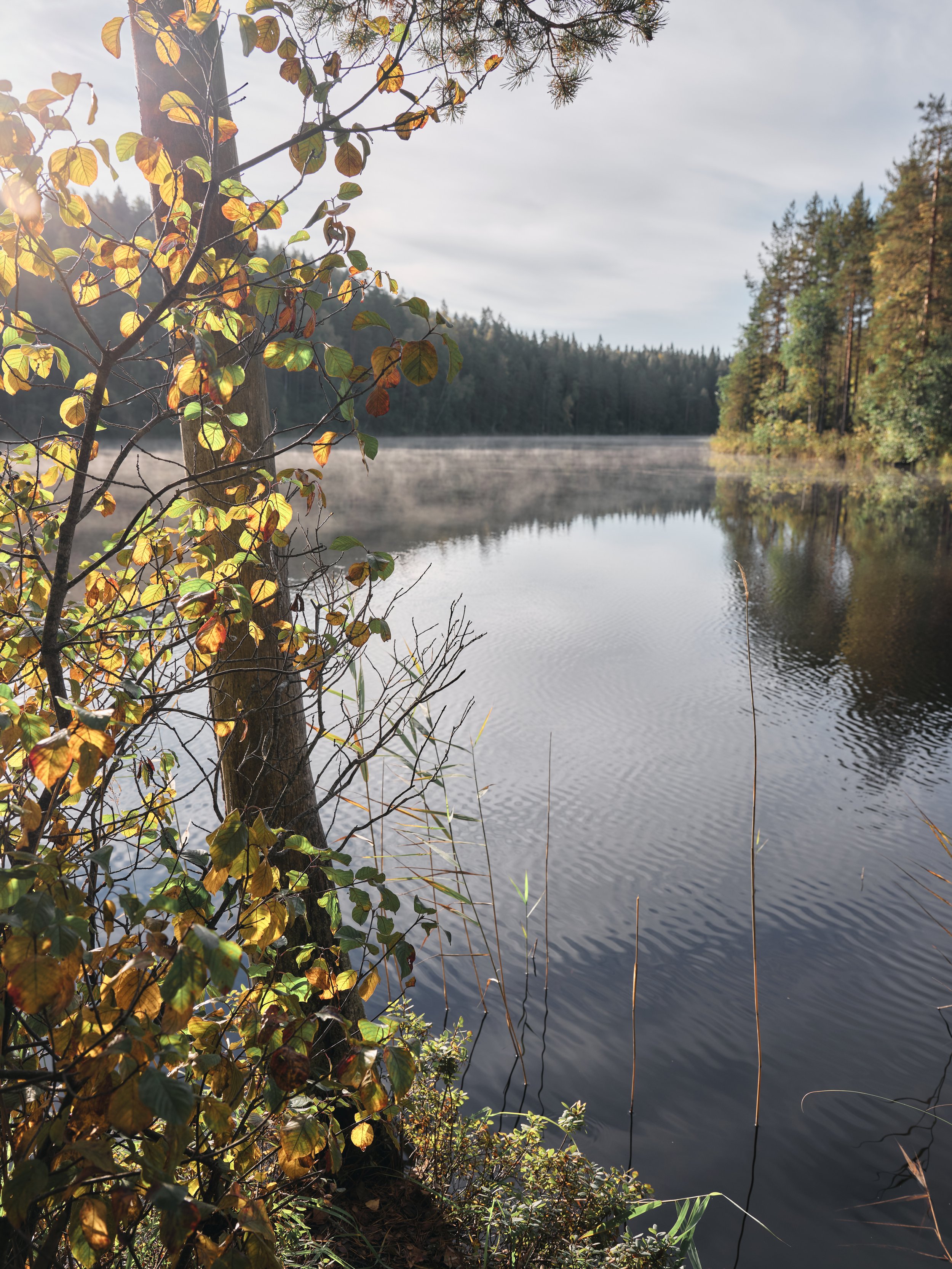 DSCF4071.jpg