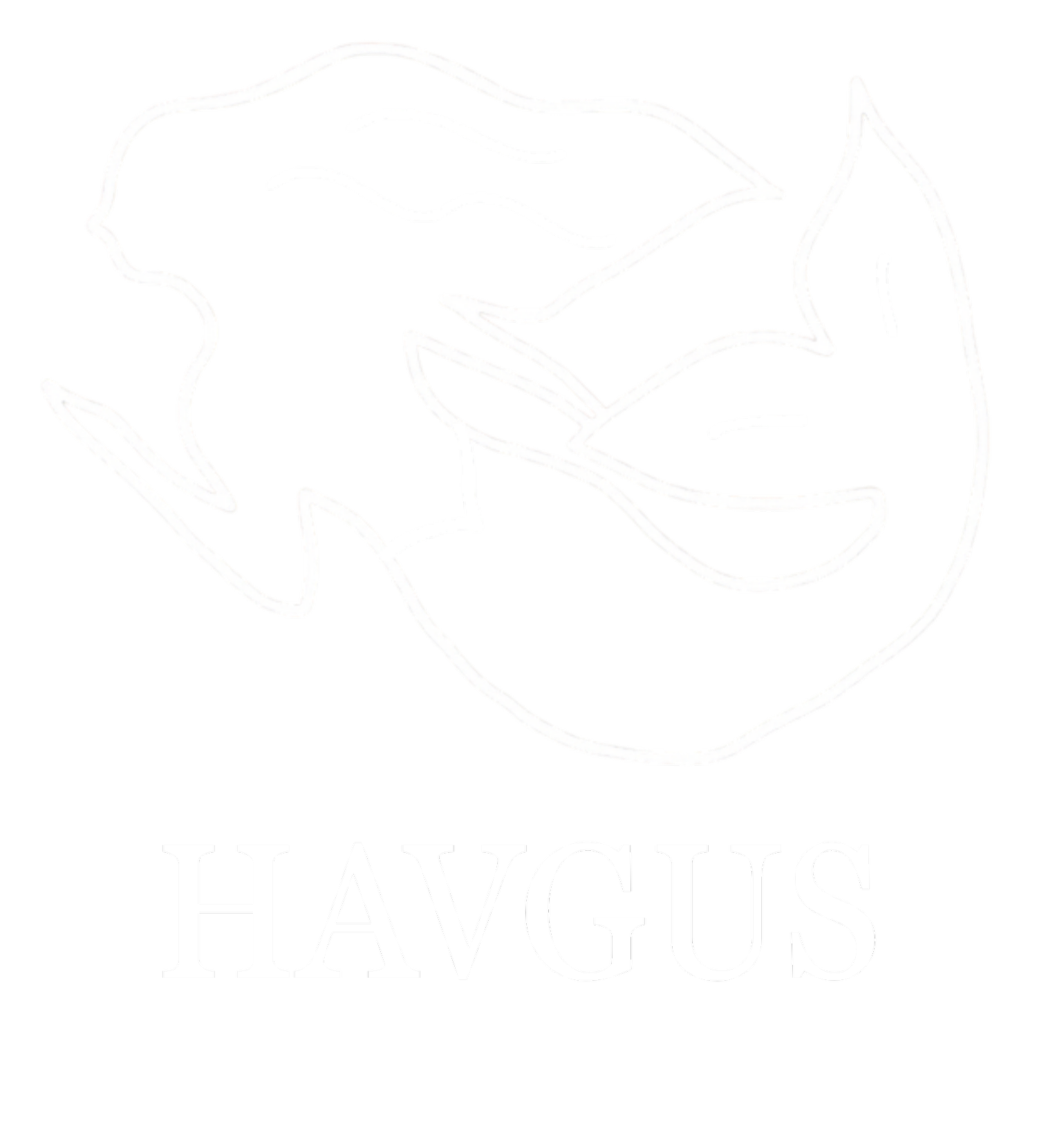 Havgus