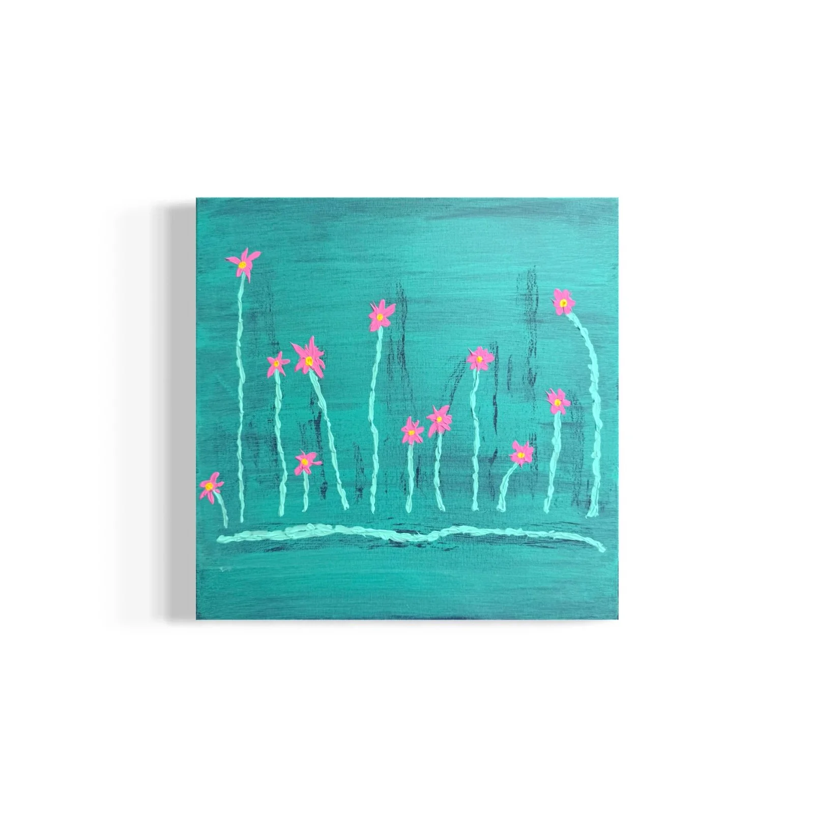 Coolaide Carnations