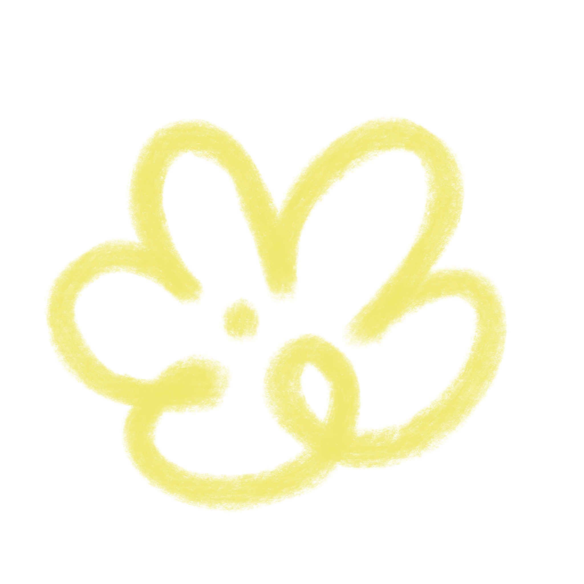 A yellow flower with a black background.